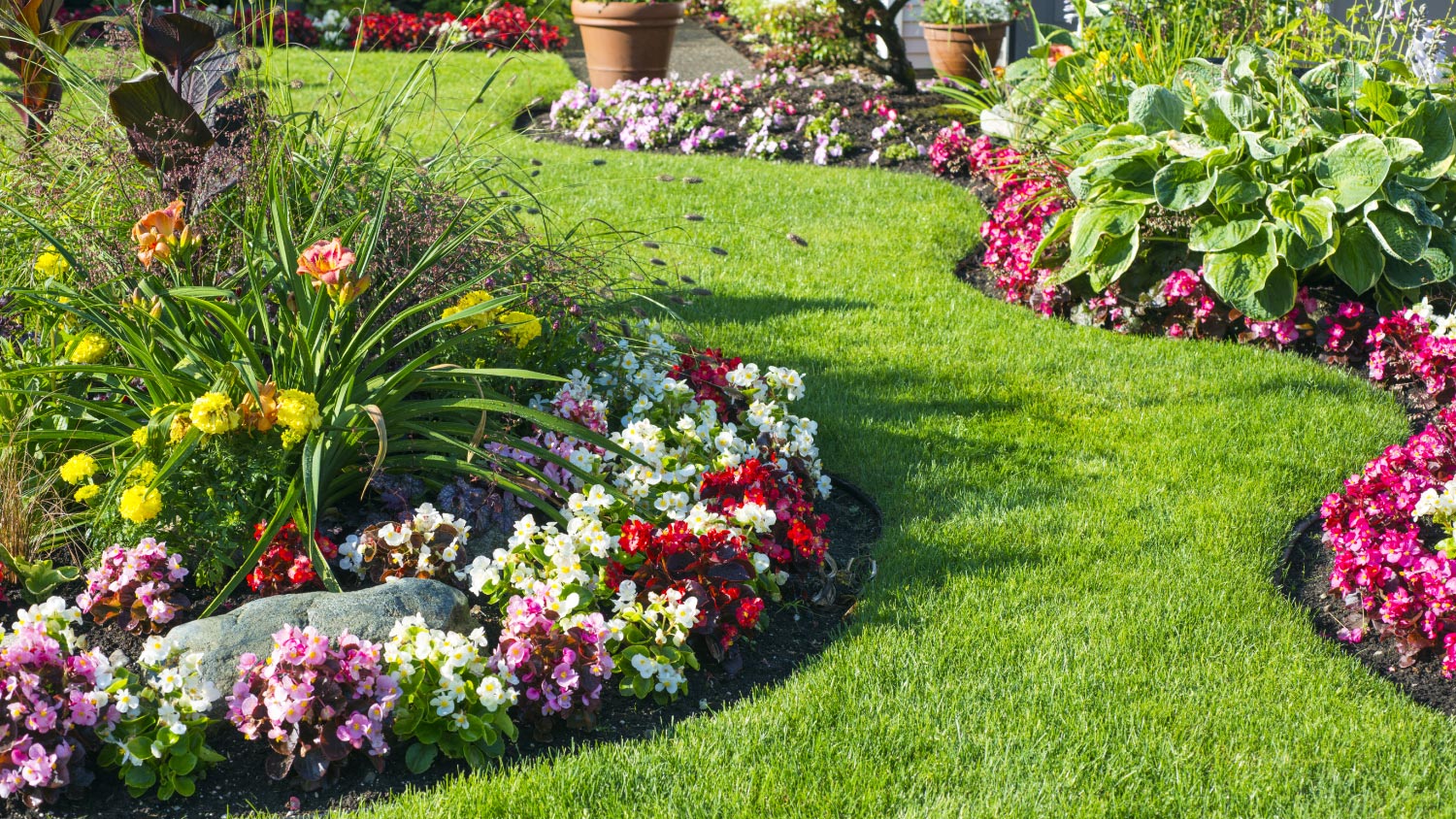 A beautiful home garden in full bloom