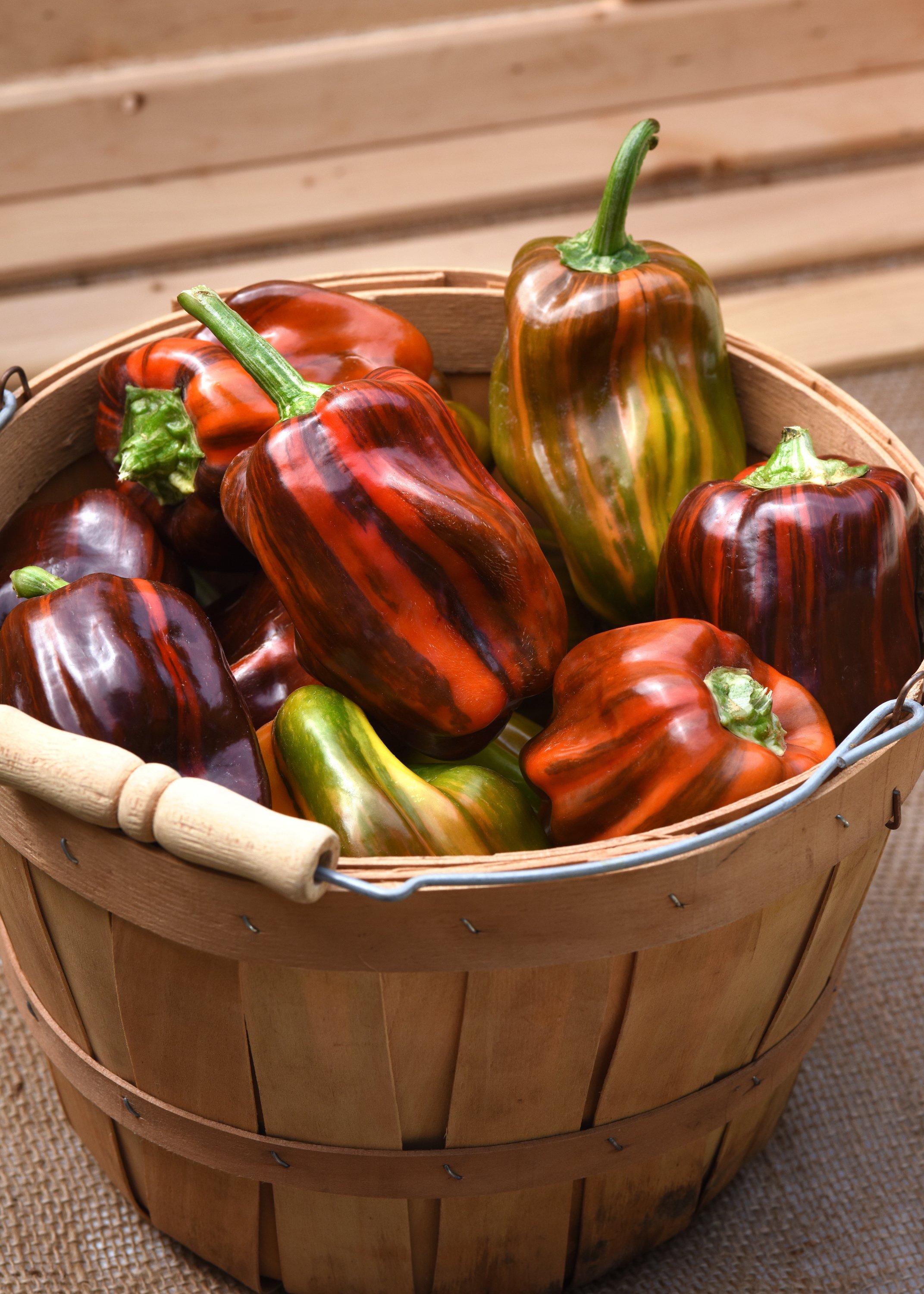 colorful peppers