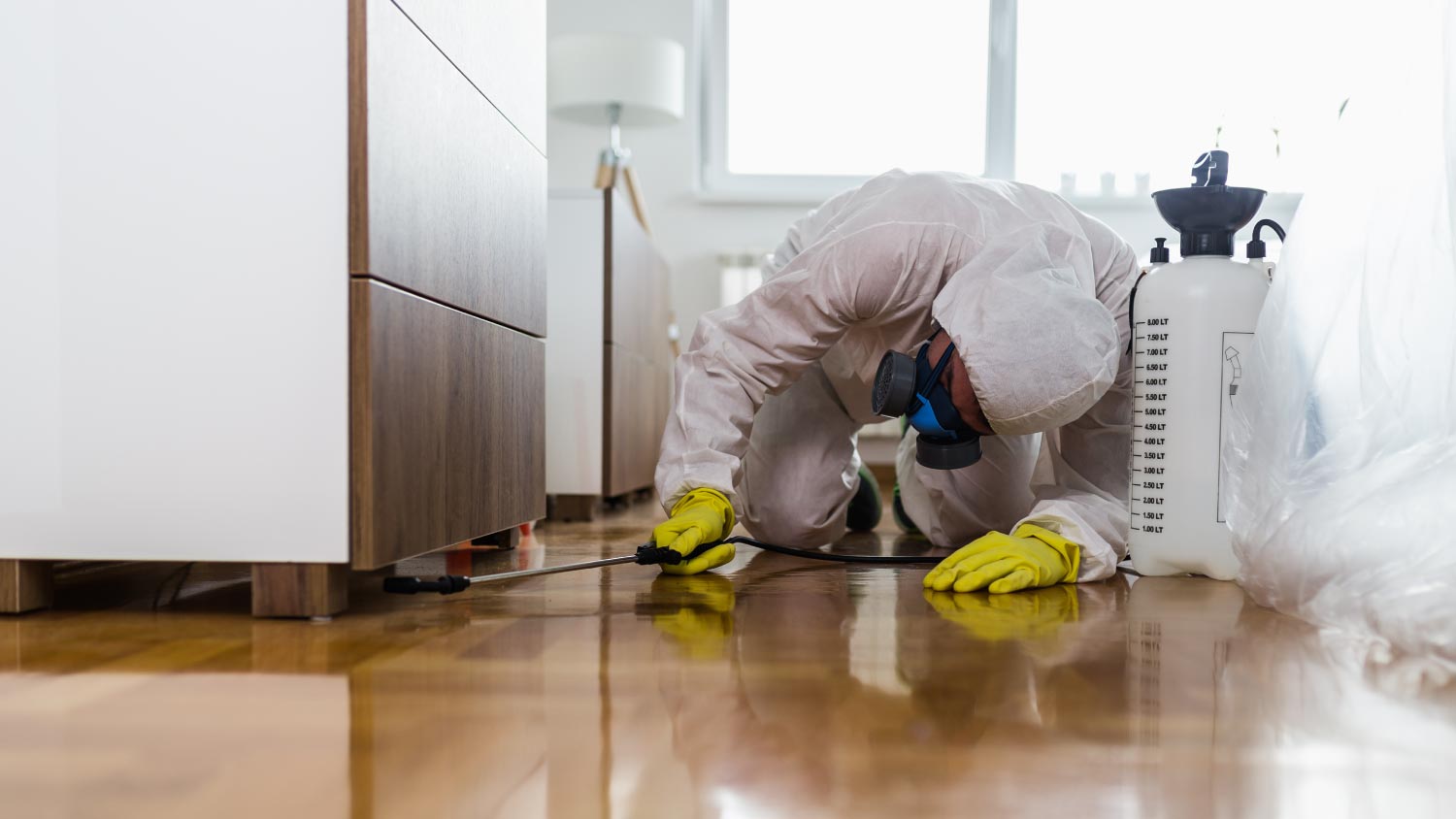 A pest control in the kitchen