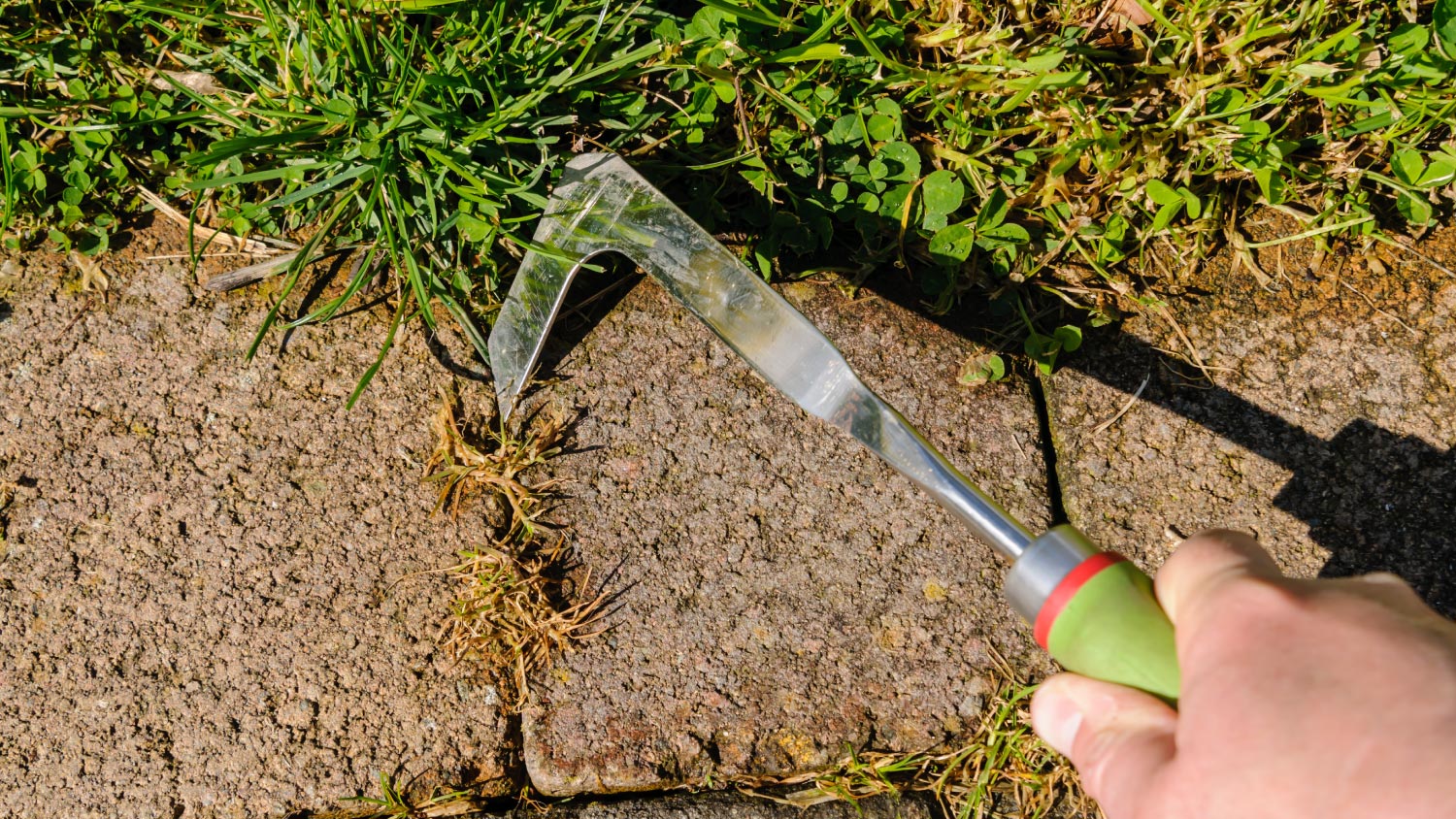 Using a patio knife to remove weeds