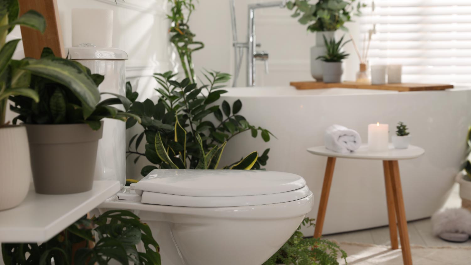 White bathroom interior with toilet bowl and green houseplants