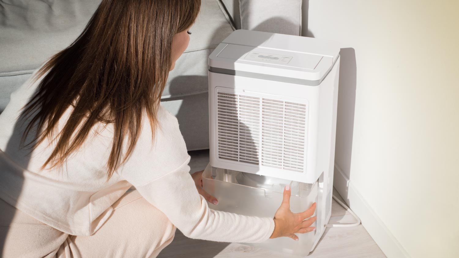 Woman changing water container in air dyer