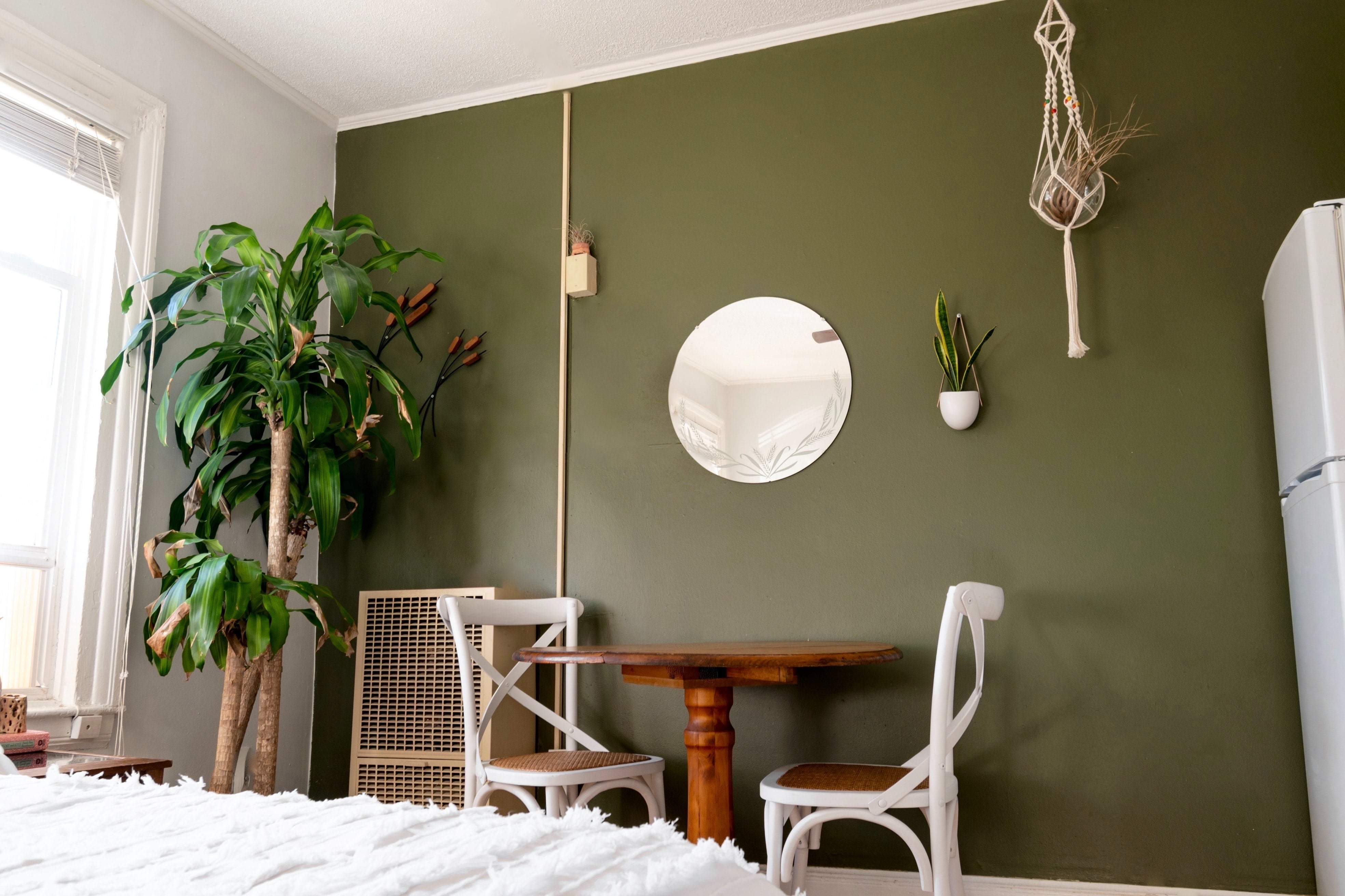 White and brown wooden chair beside green accent wall with minimalist potted plant gallery wall