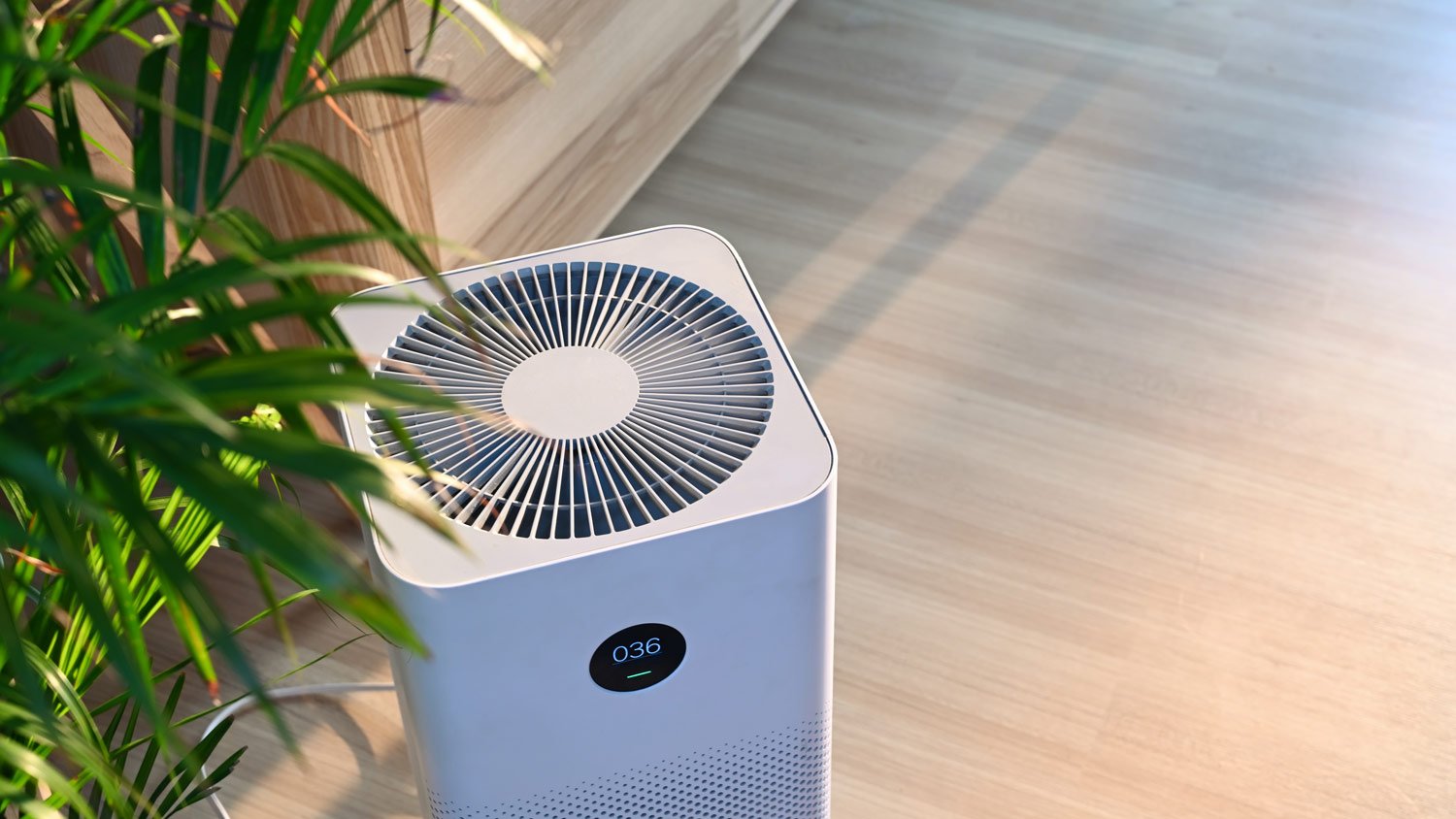 An air purifier next to a plant on a hardwood floor