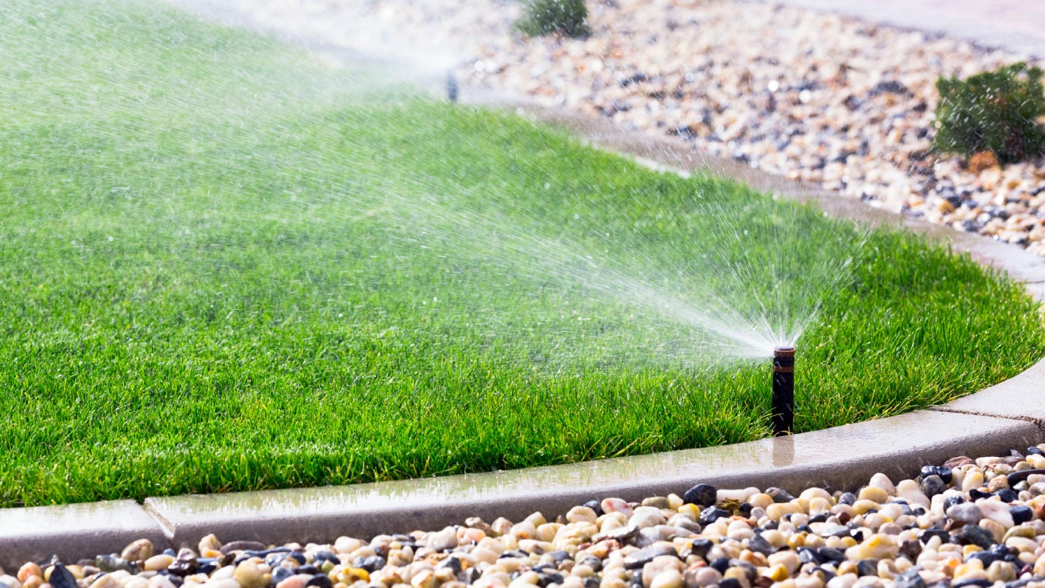 An automatic sprinklers watering lawn system