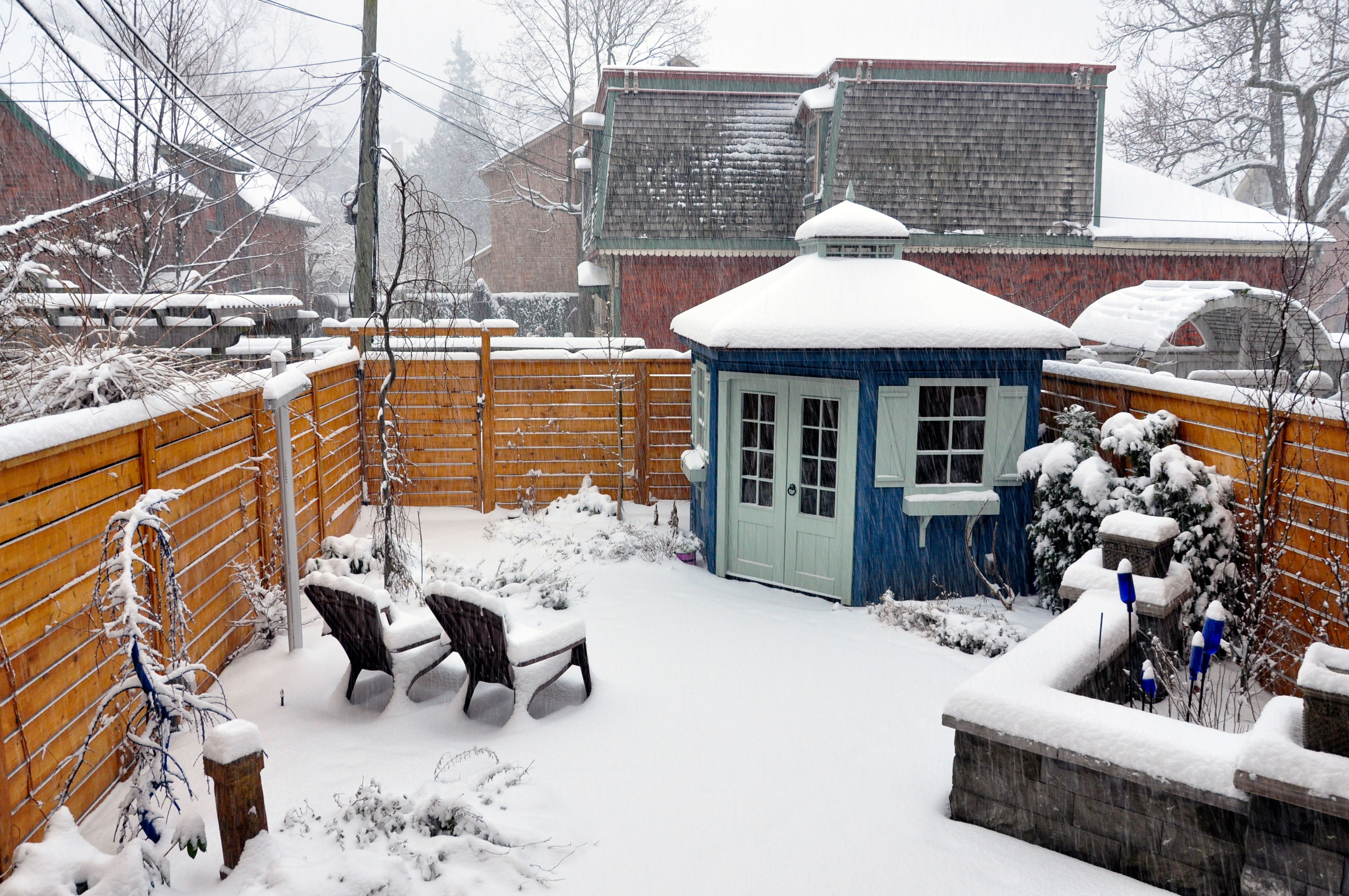 Backyard with corner shed and lounge chairs in the winter