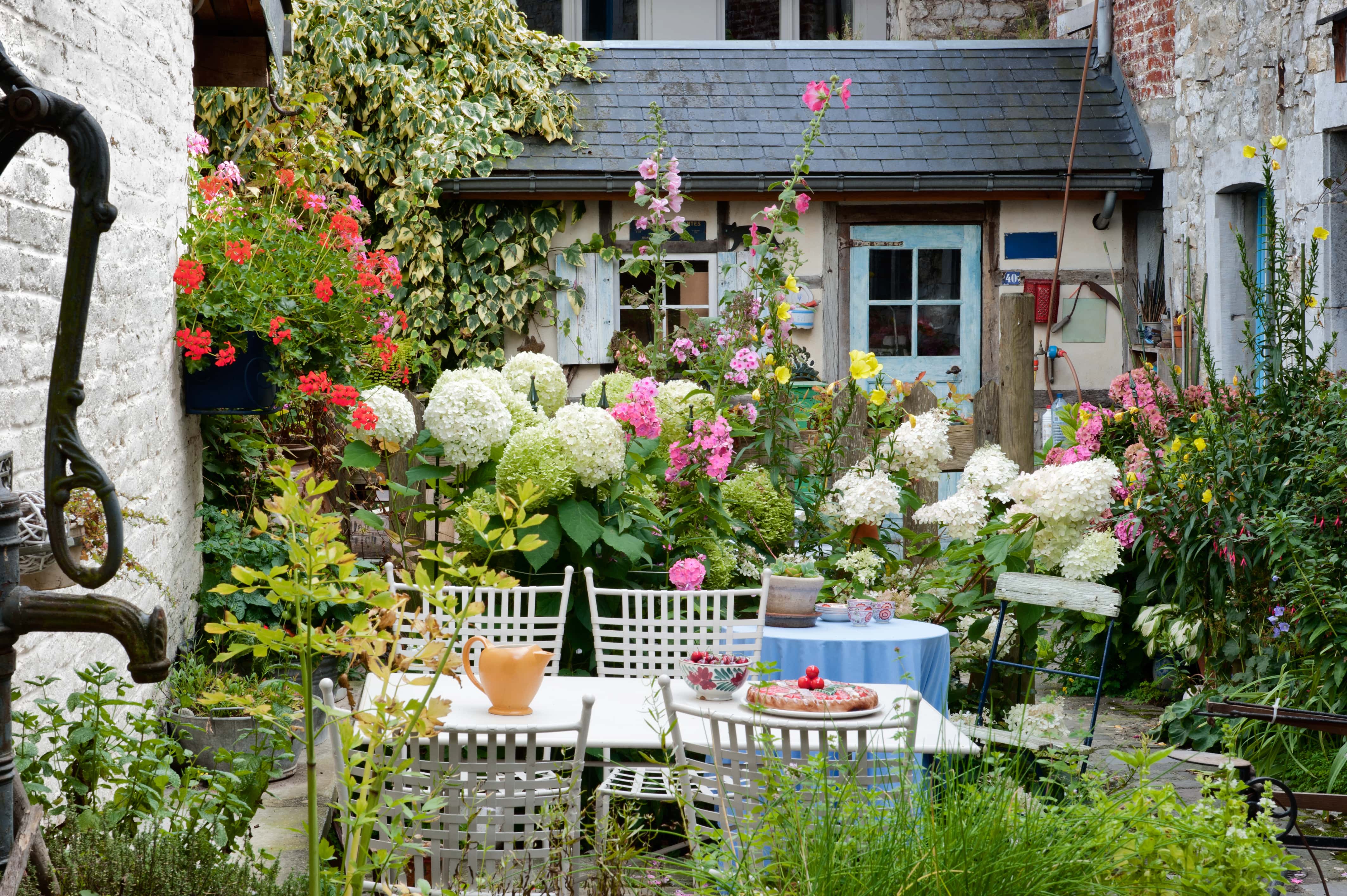 Outdoor garden and patio