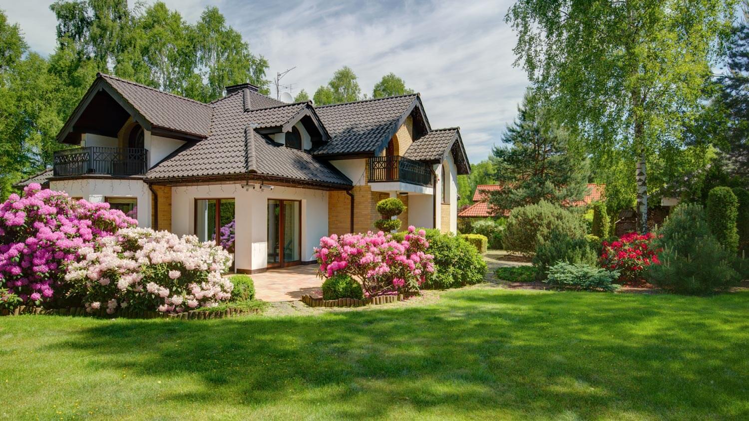 A backyard of a house with a landscaped garden with shrubs