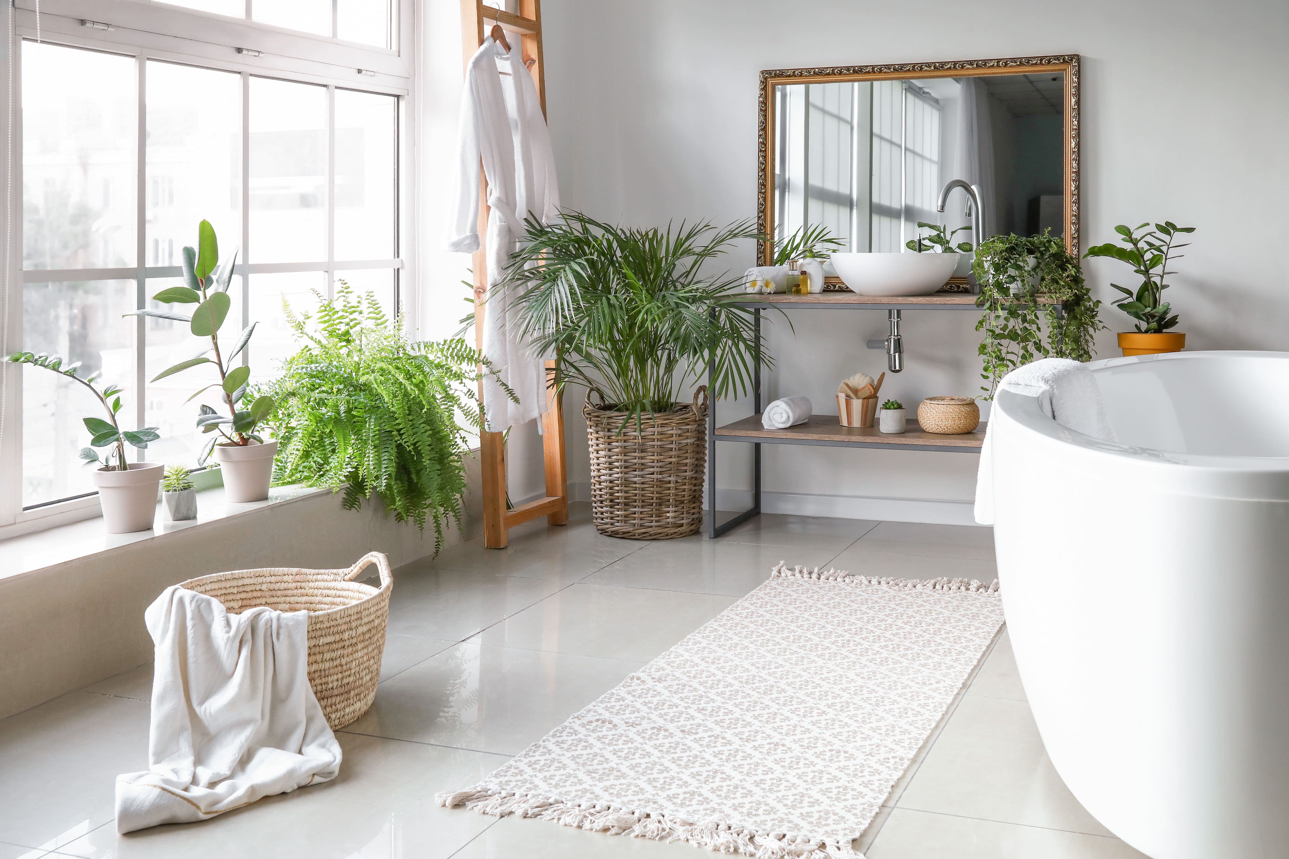 Large bathroom with houseplants