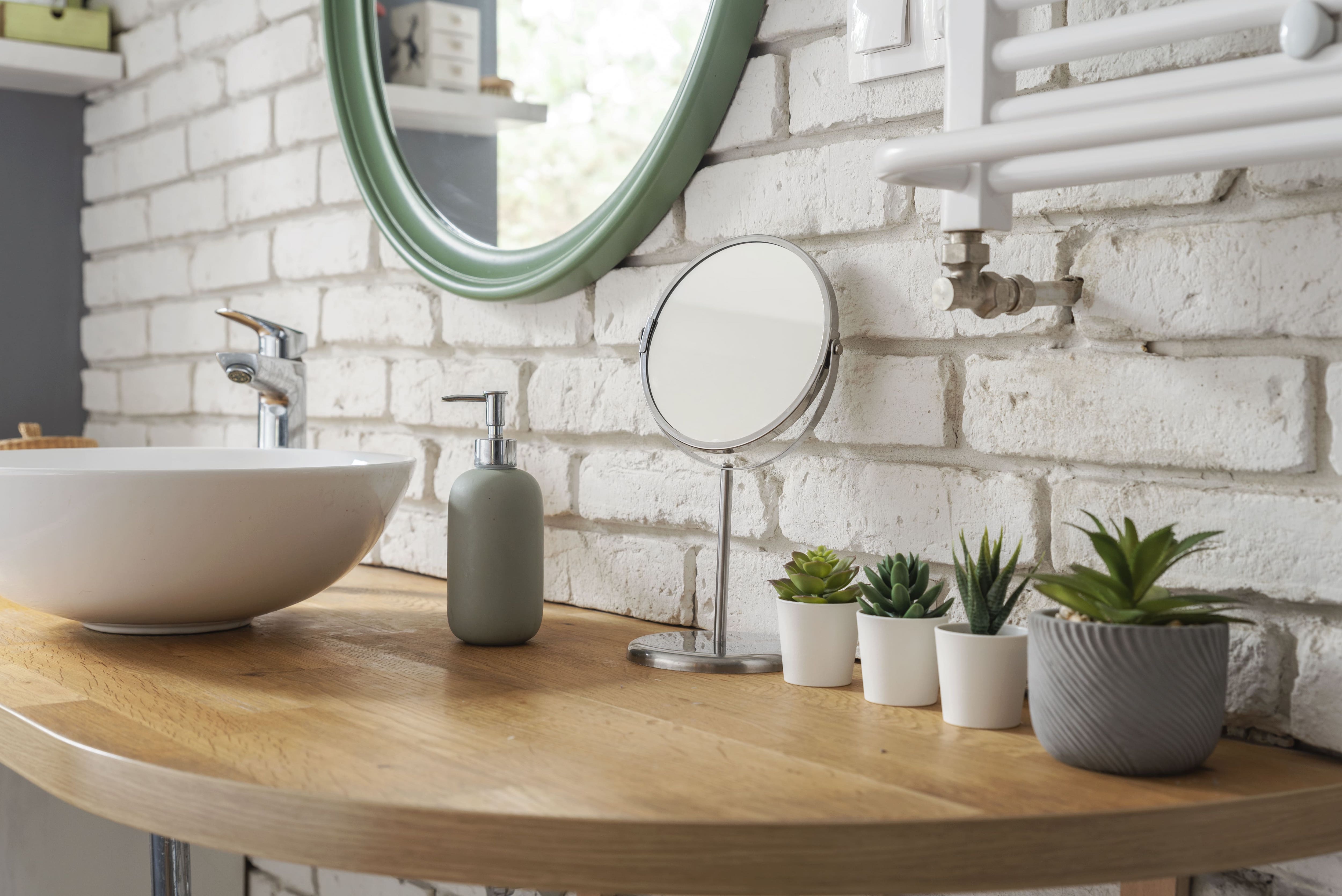 Succulents on bathroom countertop