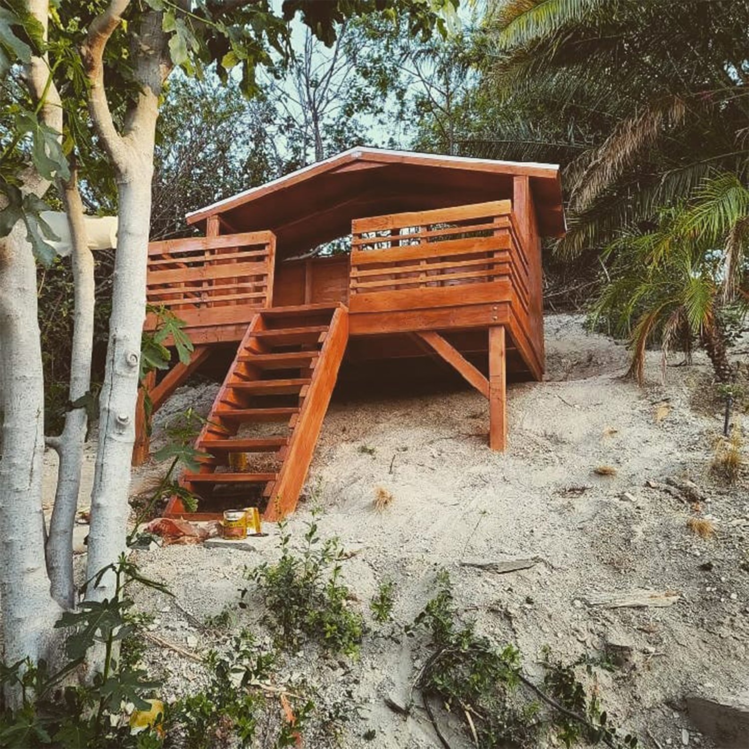 A Beachside Treehouse Bungalow