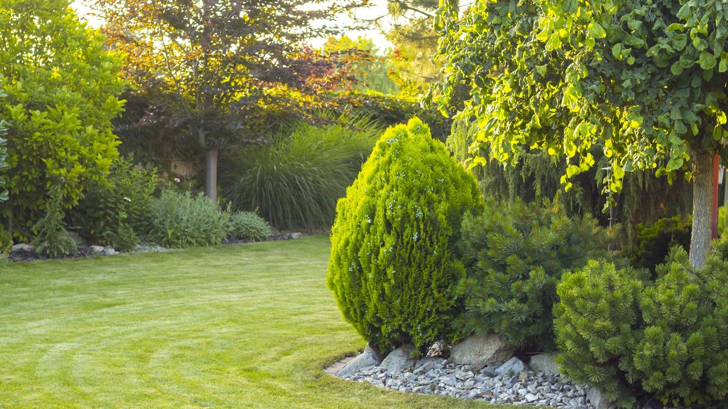 A beautiful garden with lots of plants