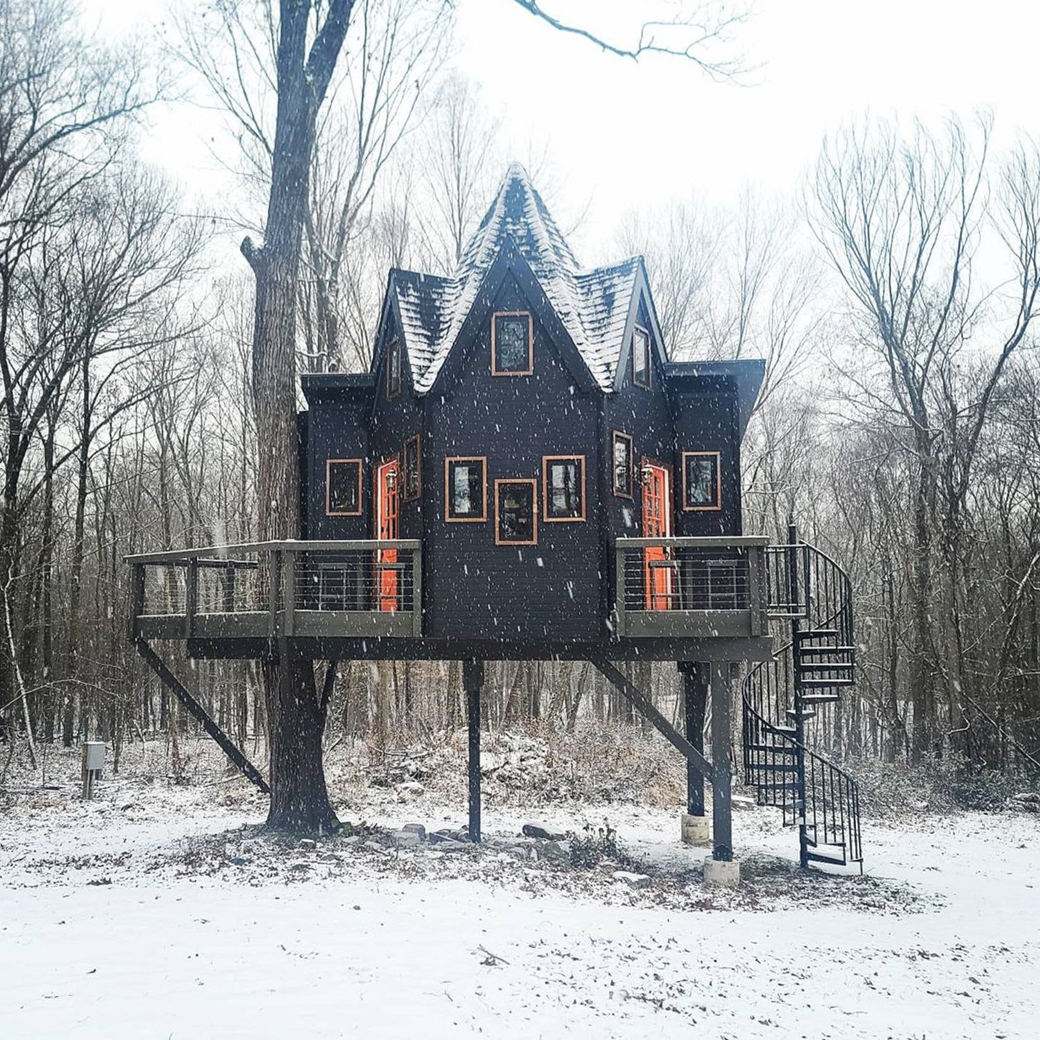 A Bold, Black Treehouse With a Quirky Roof