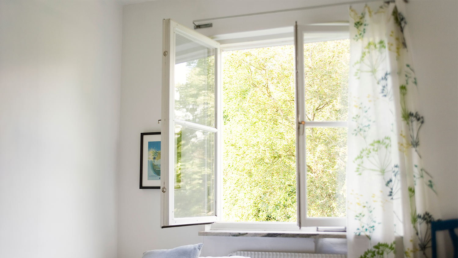 Casement open window green trees