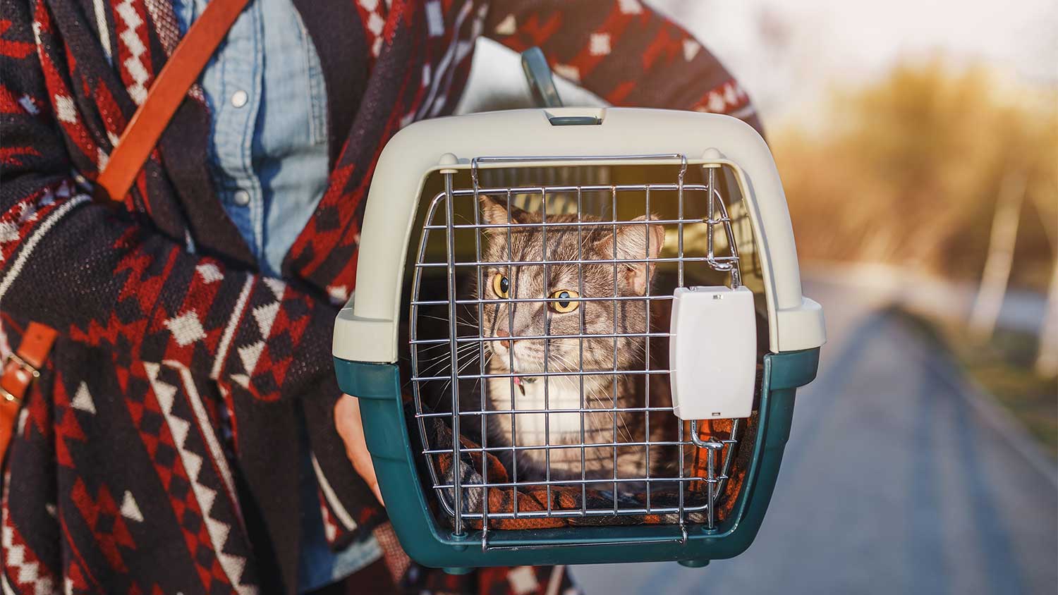 woman carrying her cat in a pet carrier