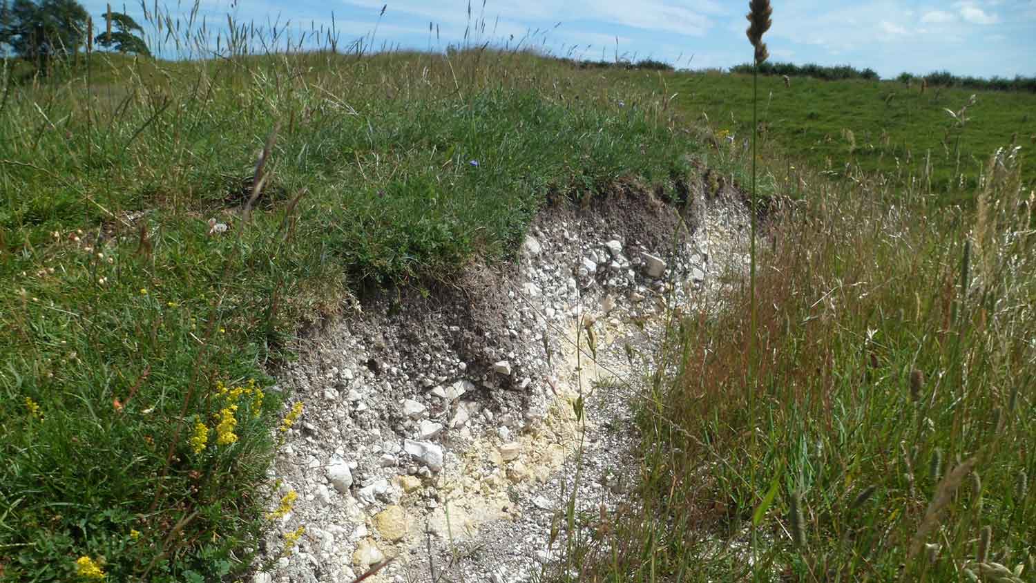 Field with chalky soil layers