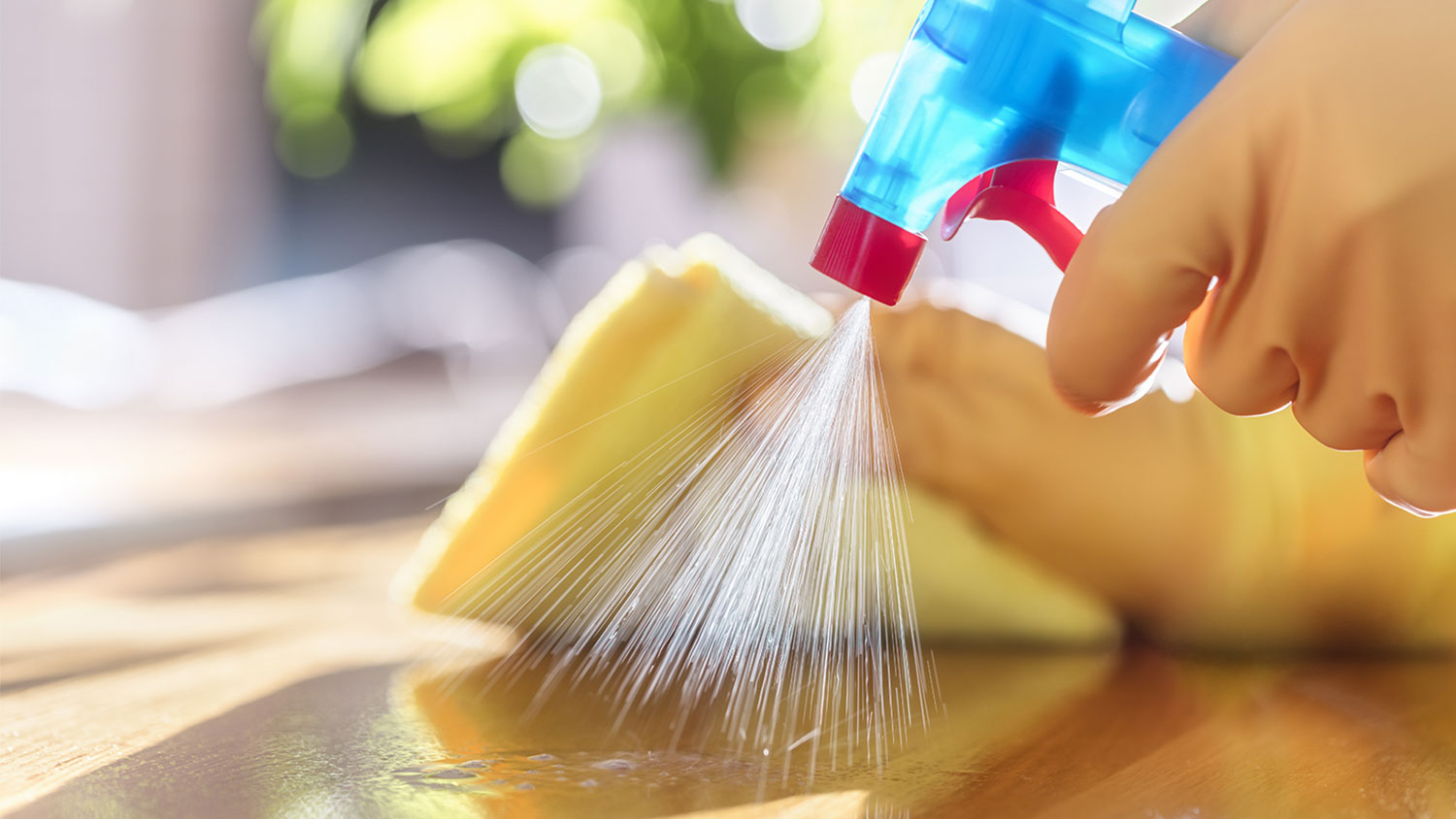 Average Cost To Hire A House Cleaner – Forbes Home