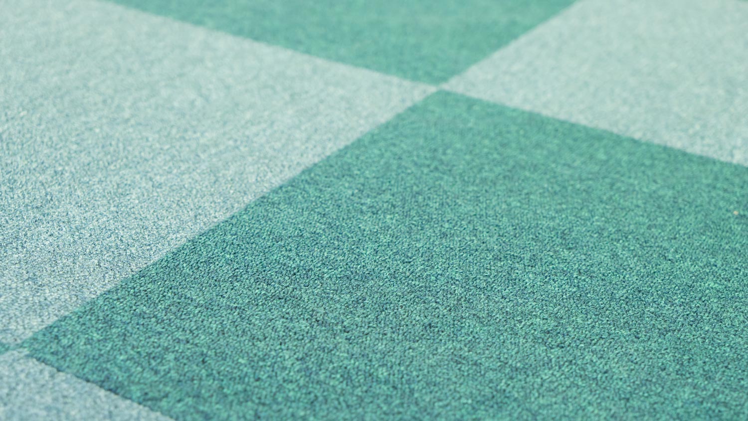 Close-up of green carpet tiles