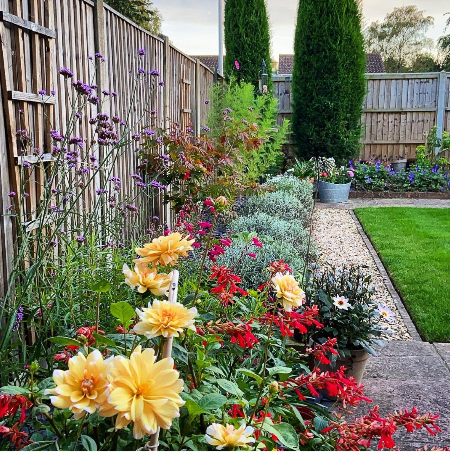 garden border edging