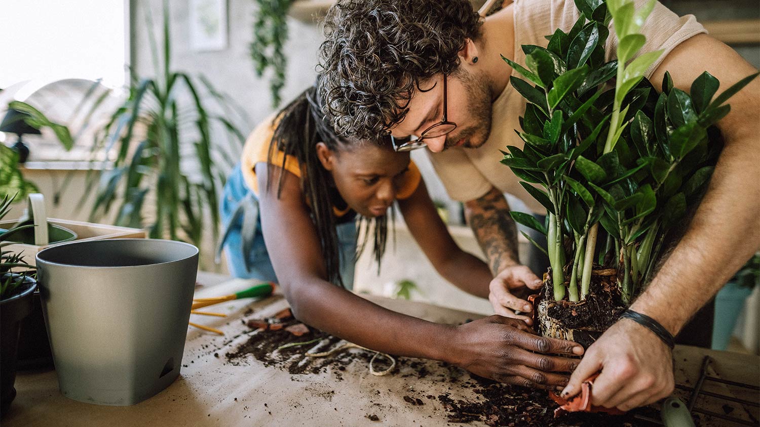 Couple plants dirty pot hands