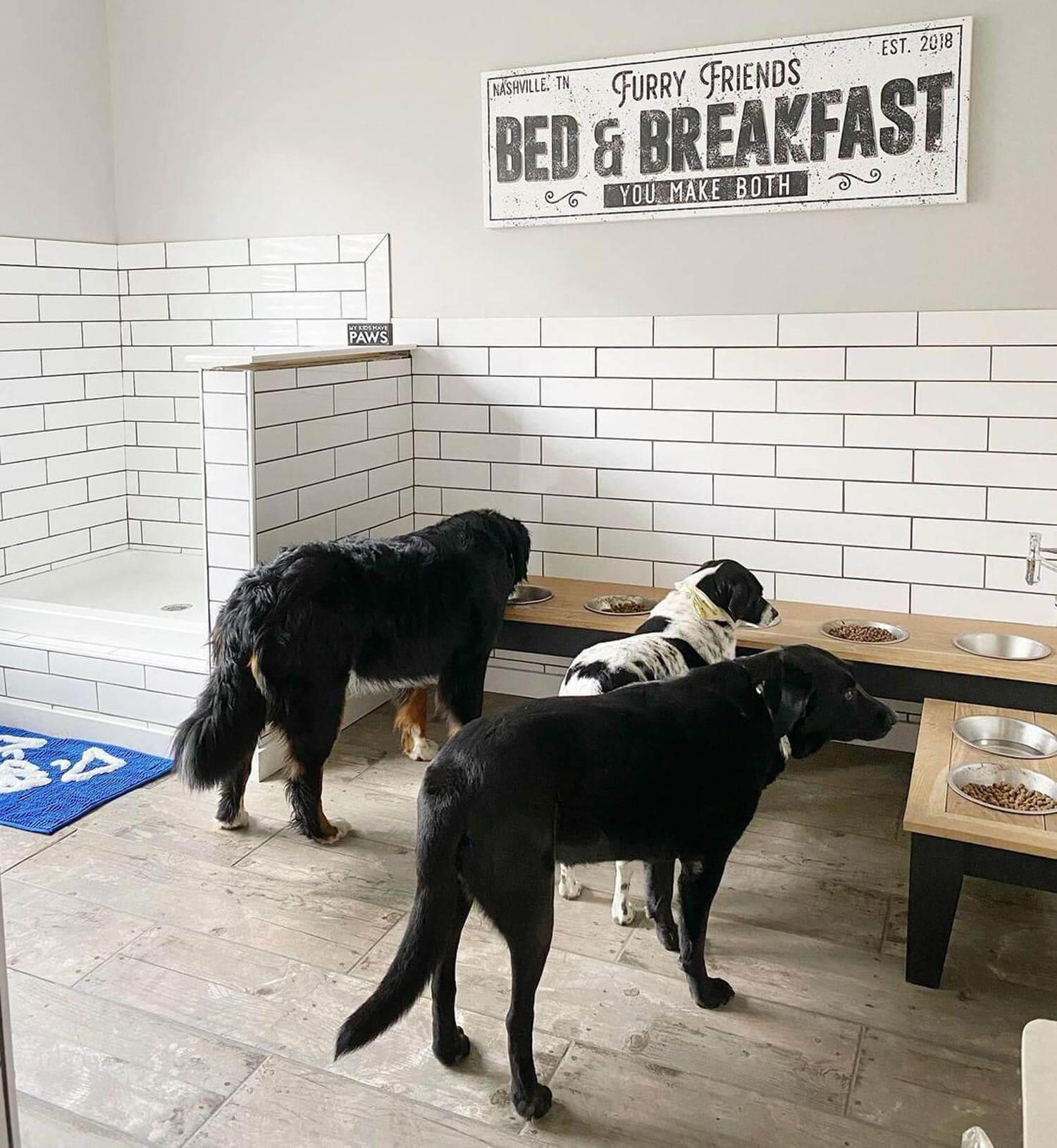 A dedicated dog room with an elevated feeding station