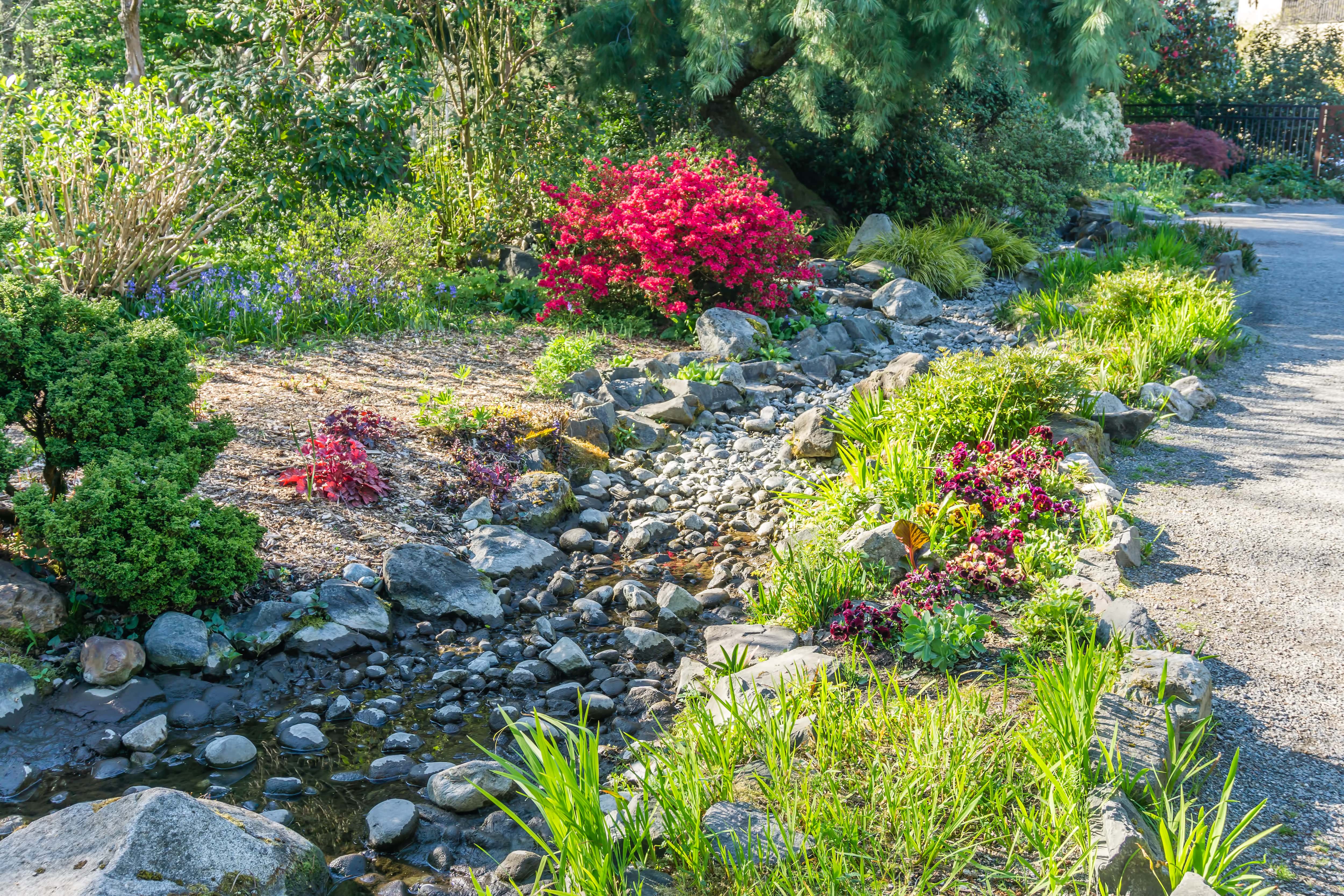 Dry creek bed landscaping