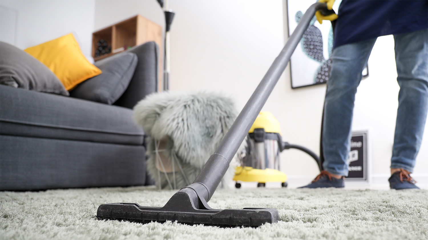 professional dry vacuuming carpet