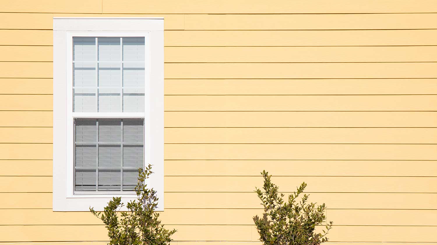 Exterior home window