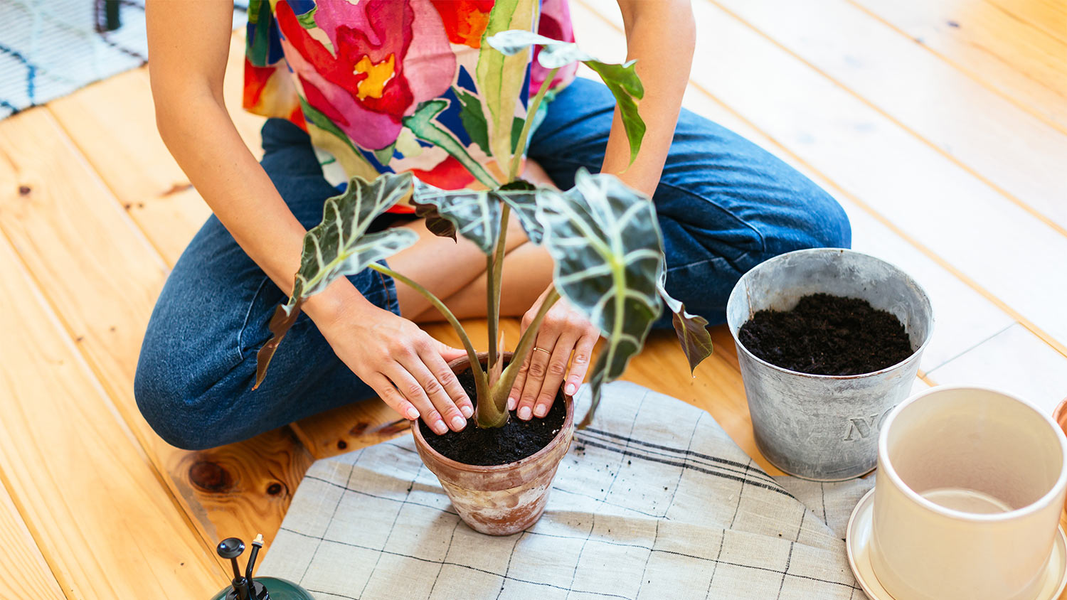 Woman floor potting plants cross legged jeans