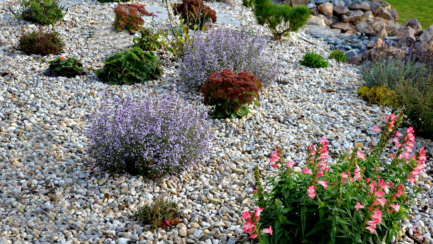 Ornamental flower bed covered with rocks