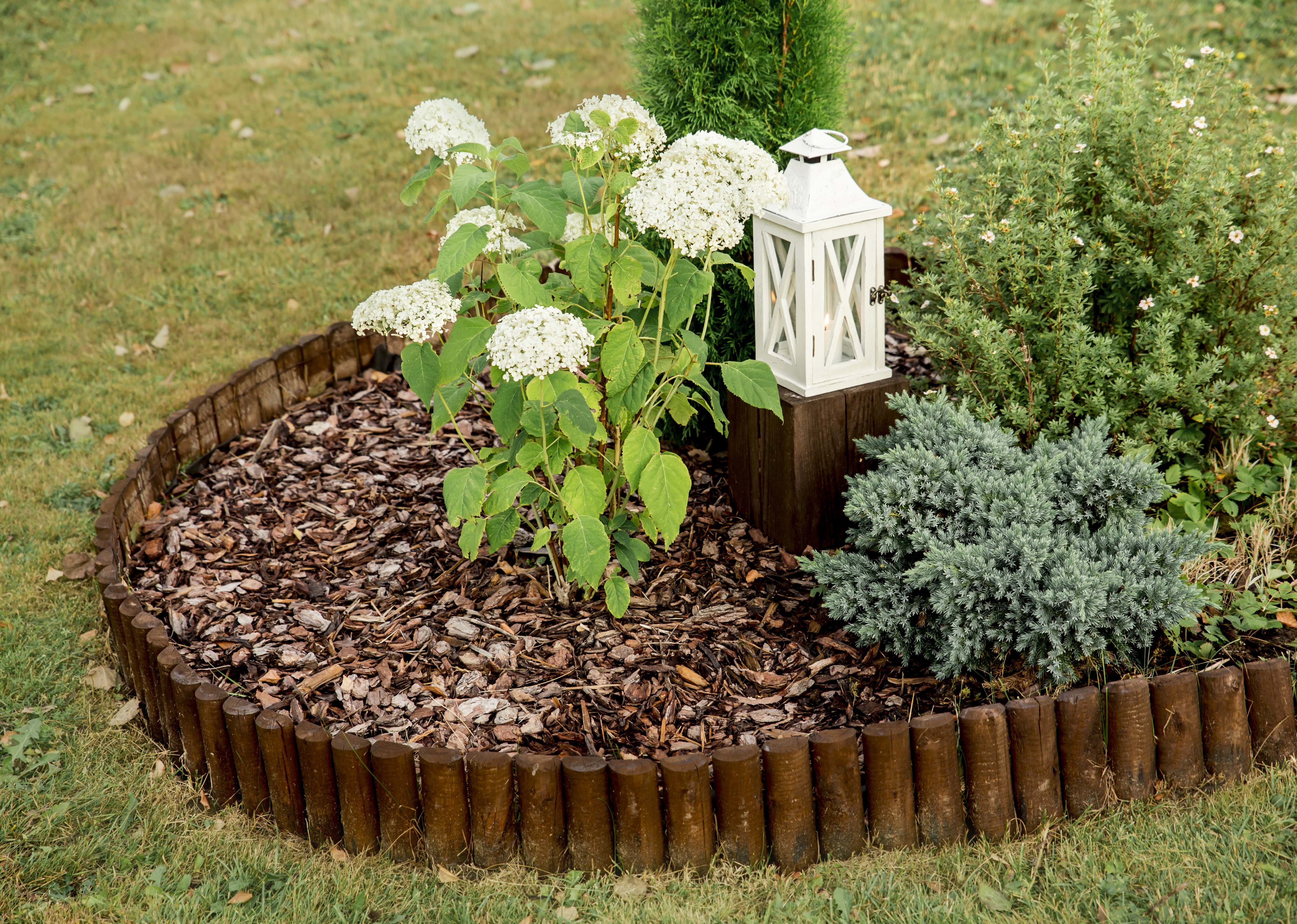 Flower bed with wood edging