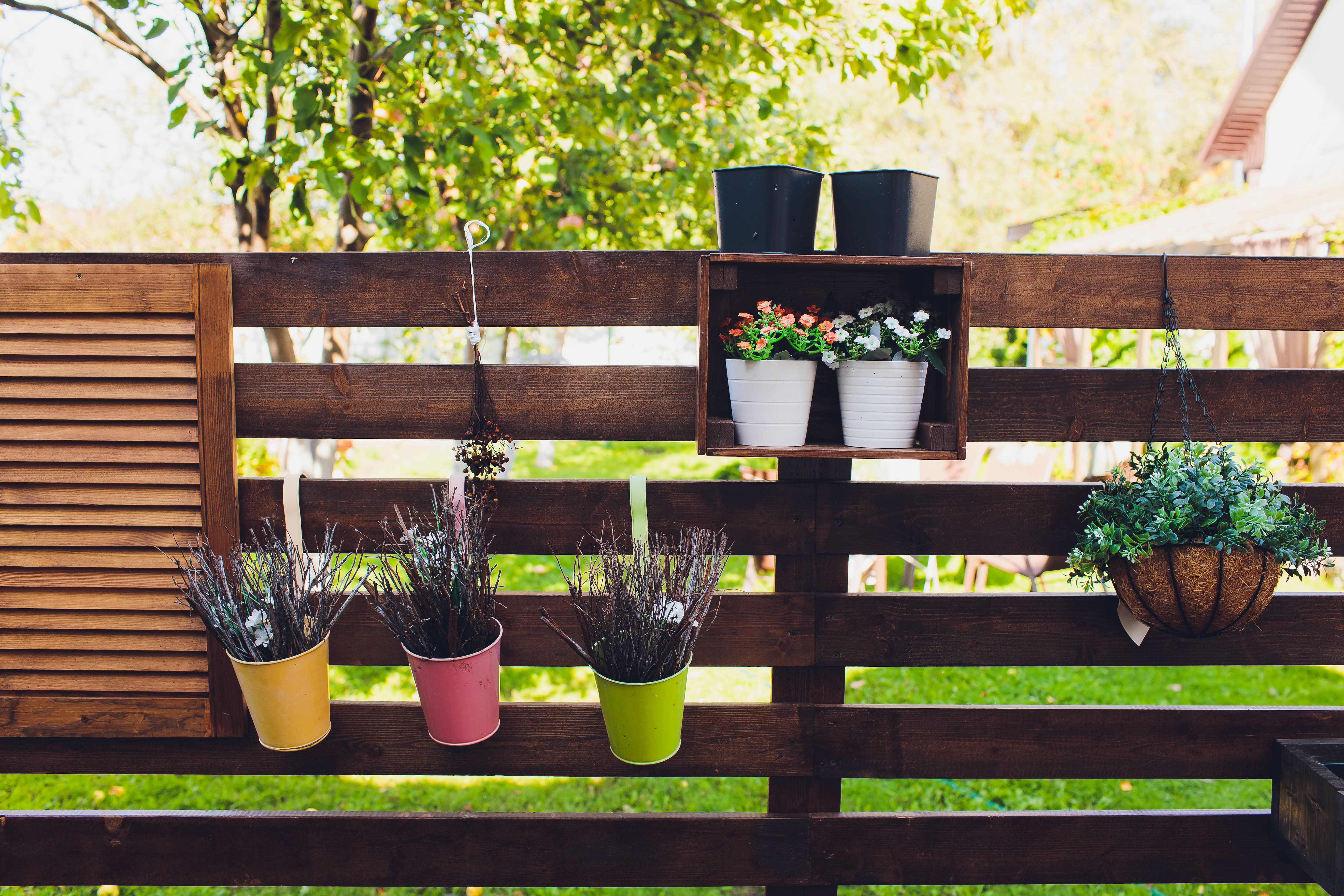 Potted plants hanging on deck