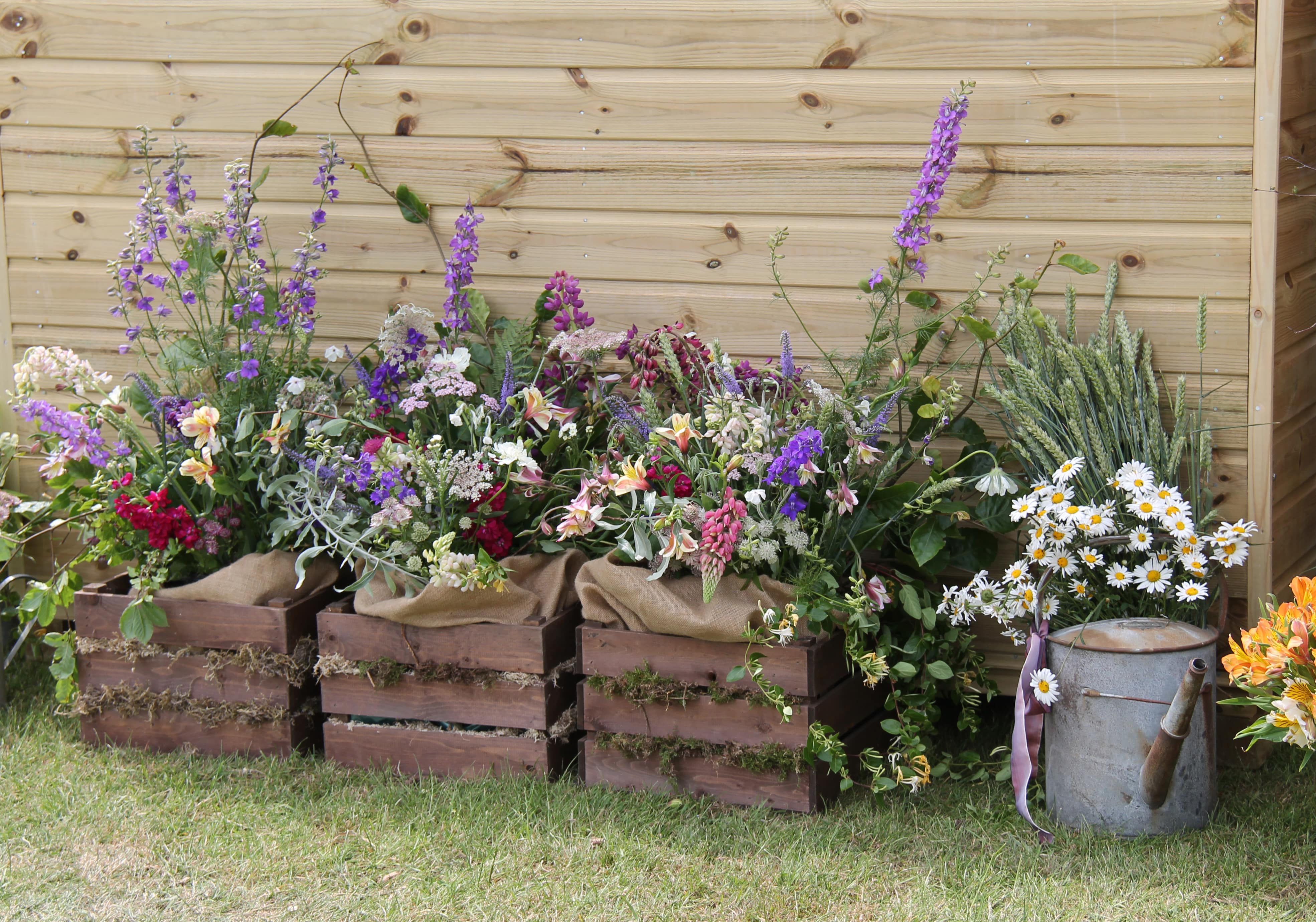 Flowers in wooden boxes