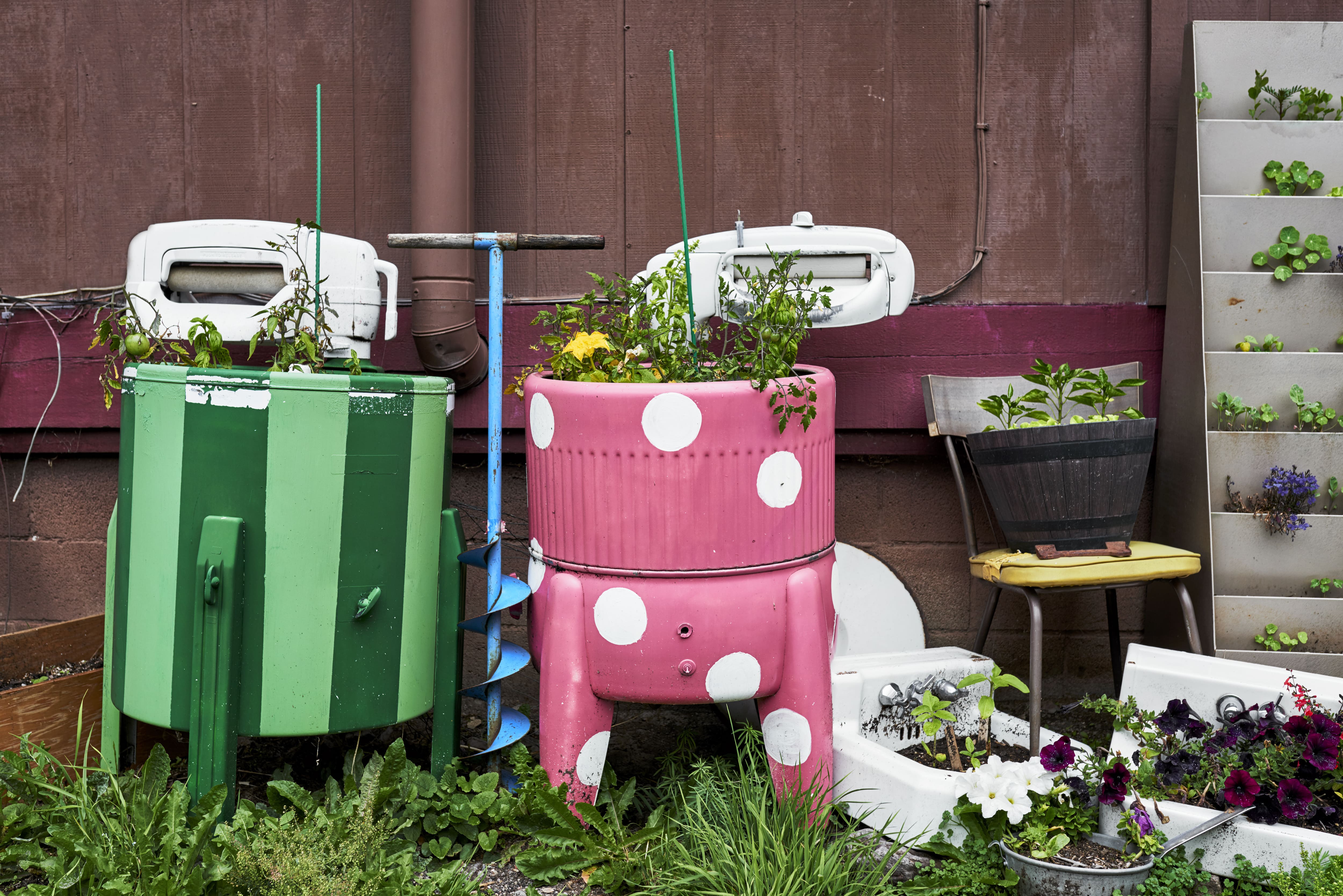 Flower bed in vintage washing machines