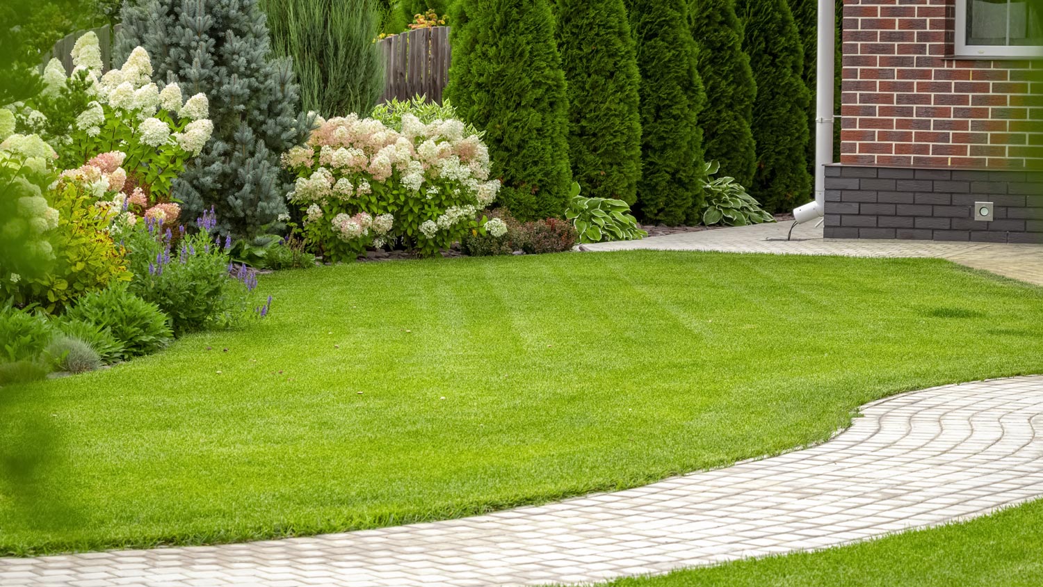 A footpath on a yard with freshly cut lawn