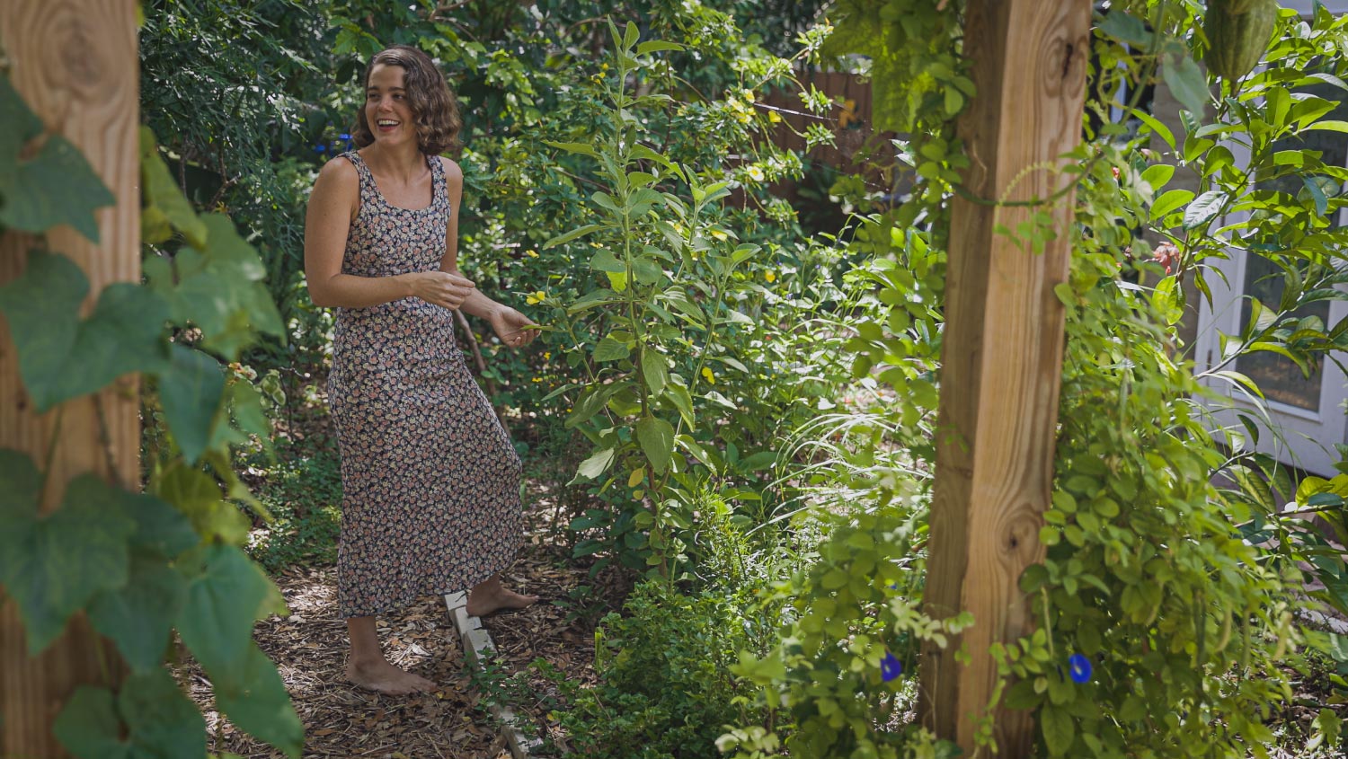 A forest garden