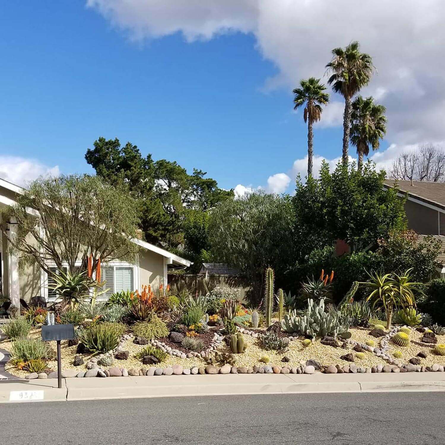 A front yard with drought tolerant succulents