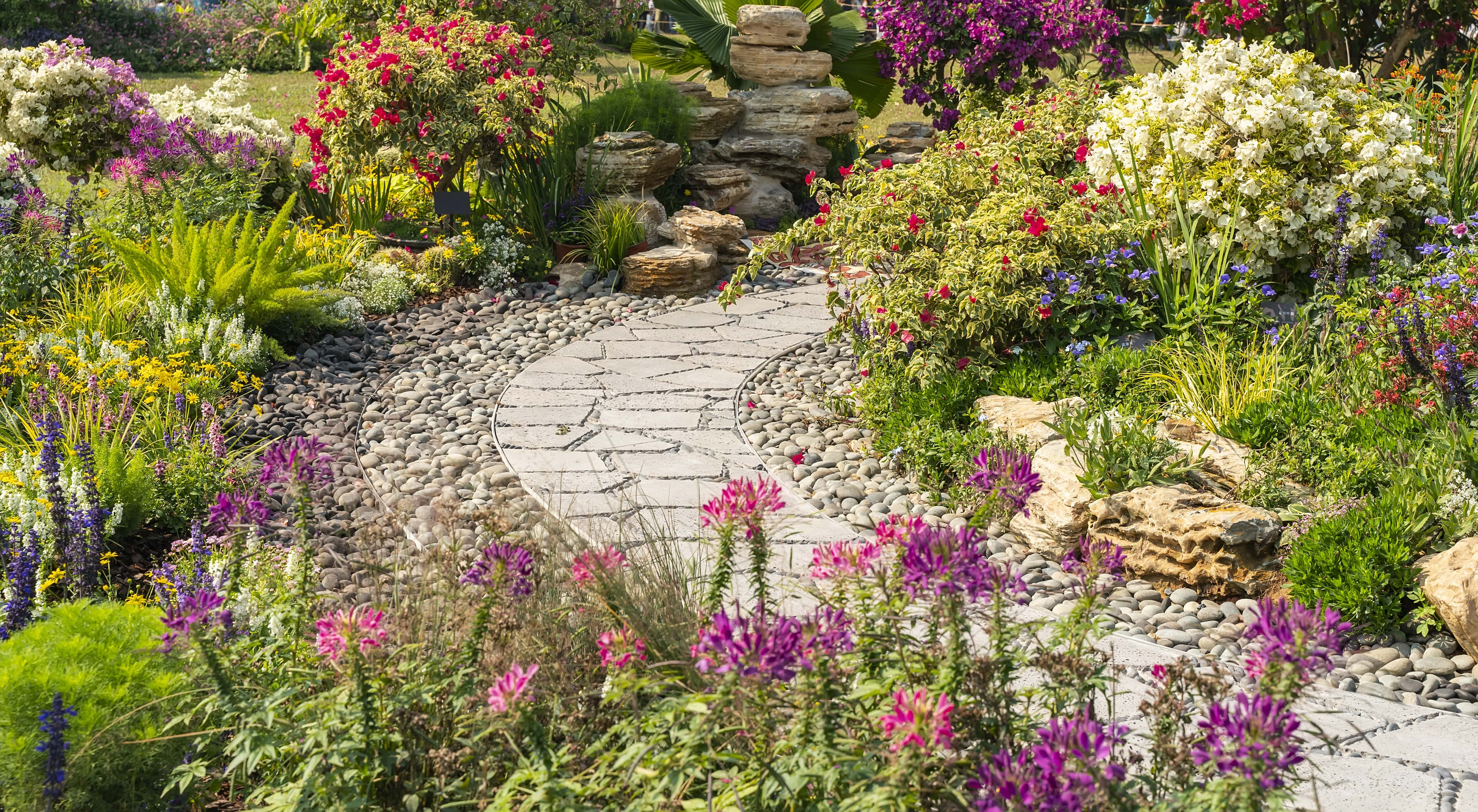 Stone pathway surrounded by colorful flowers