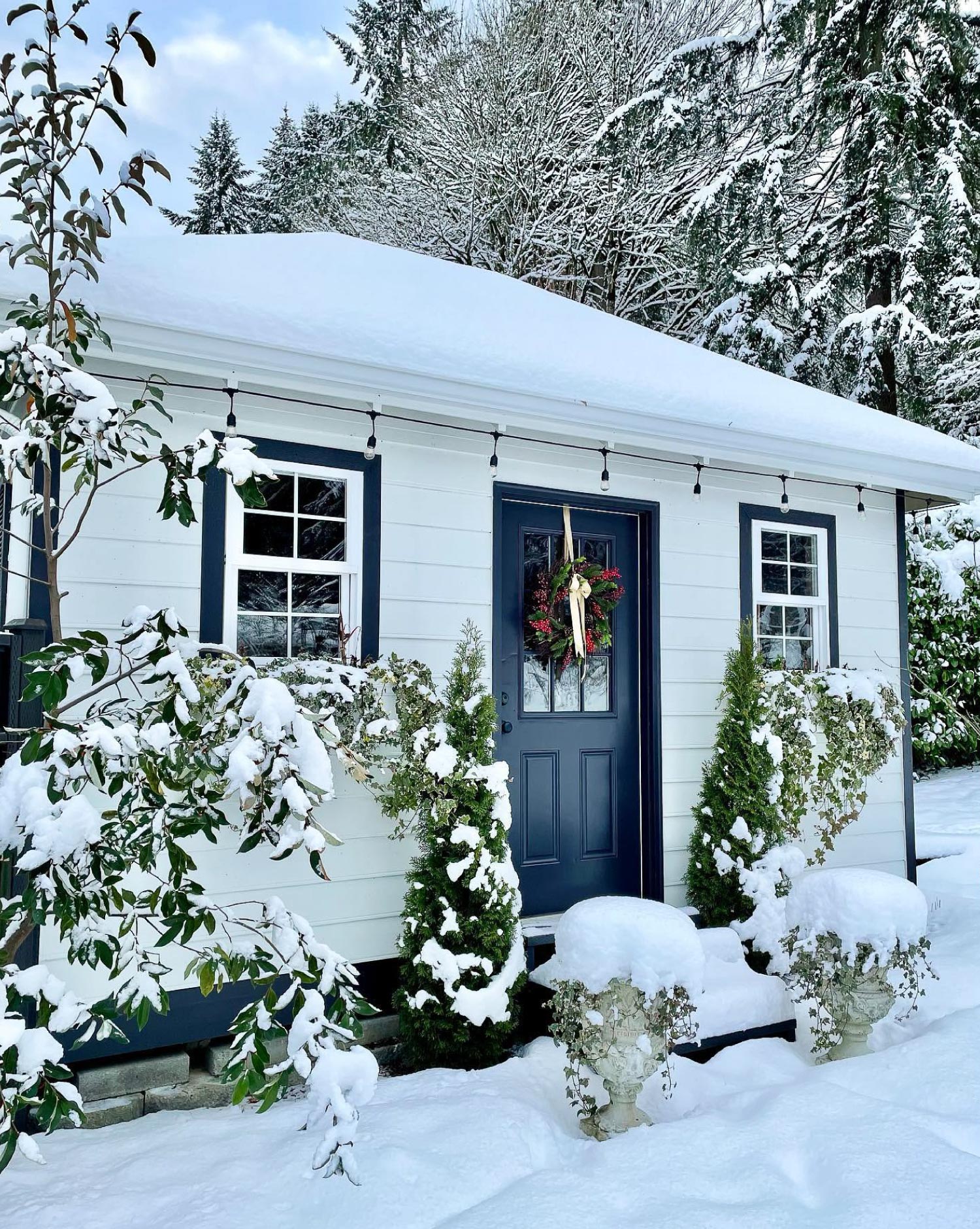 A garden shed with windows