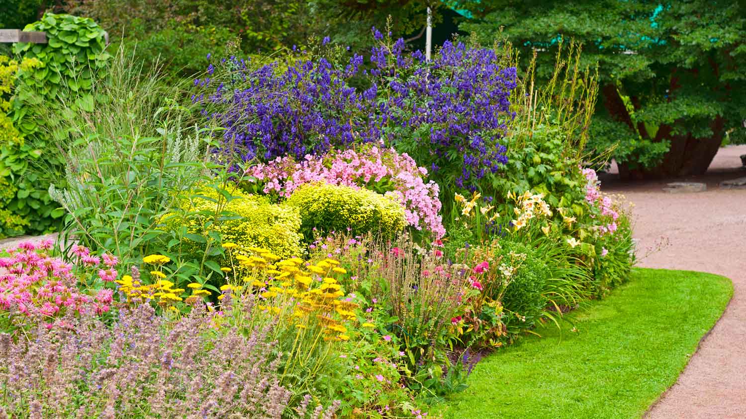 Pollinator garden with multiple flowers