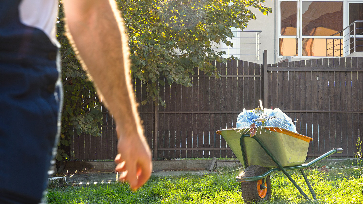 gardener cleaning up backyard 