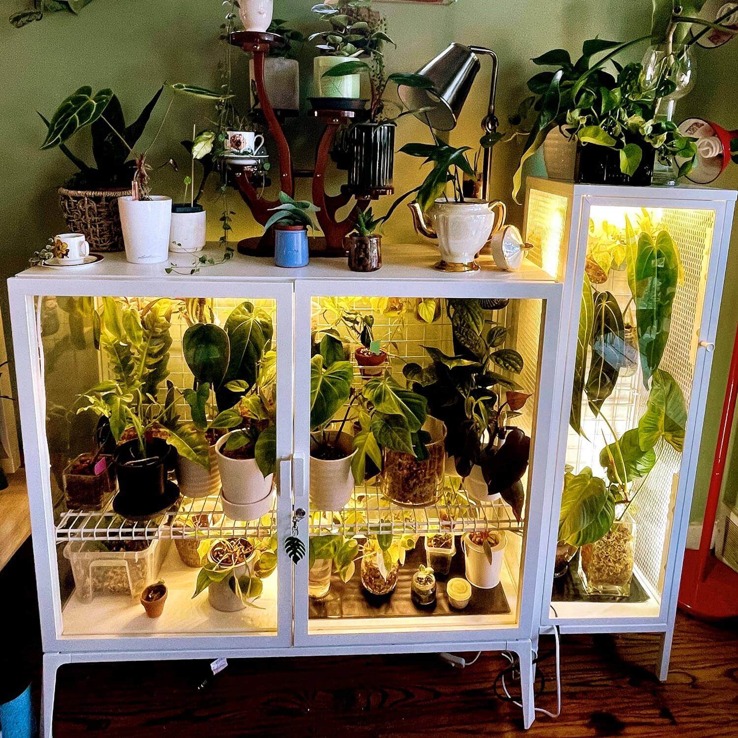 A greenhouse cabinet with grow light strips