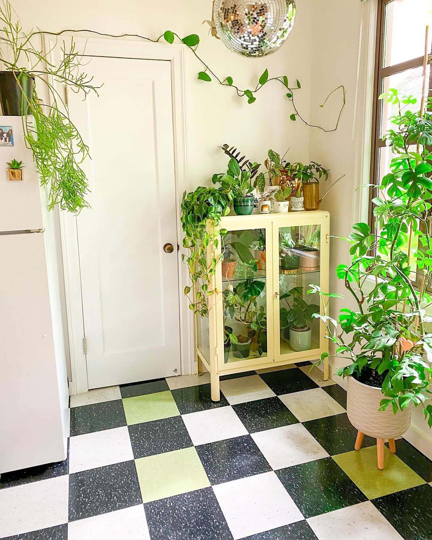 A greenhouse cabinet in a bright kitchen