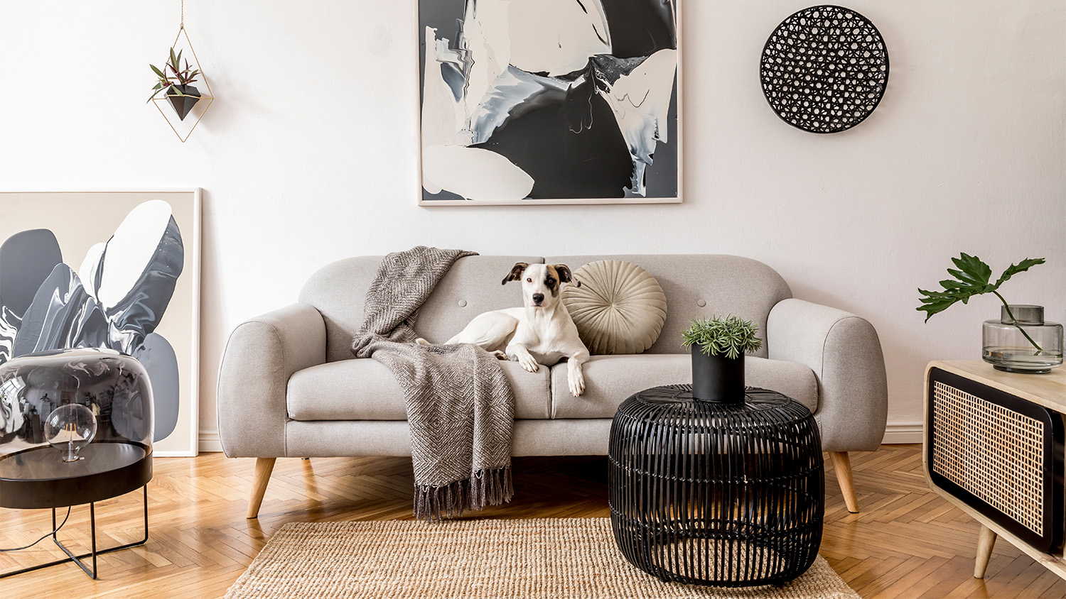 stylish gray and black living room with dog on couch 