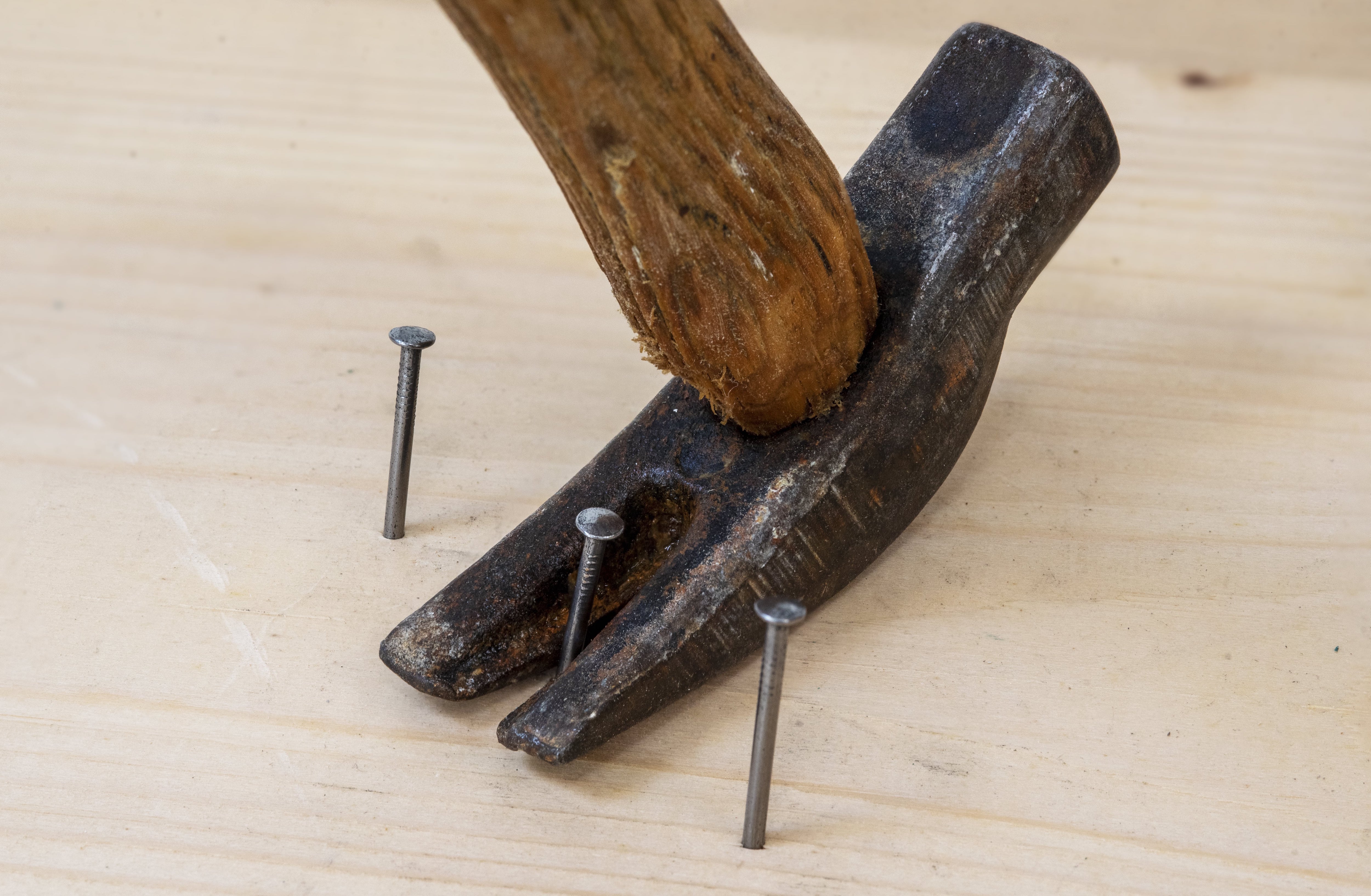 Three nails in wood flooring being removed by the back of a hammer