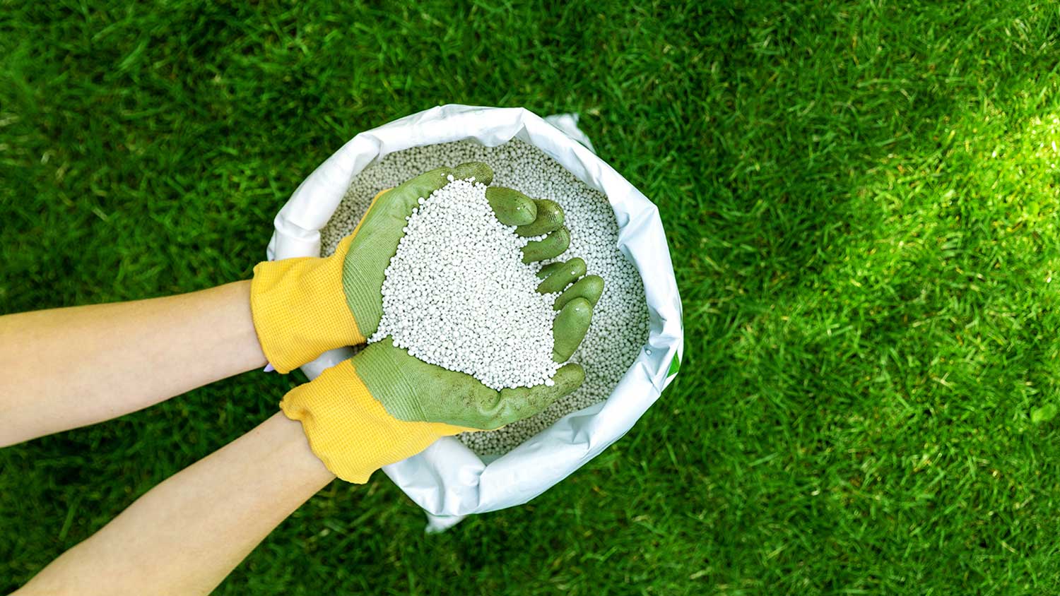 Hands holding fertilizer