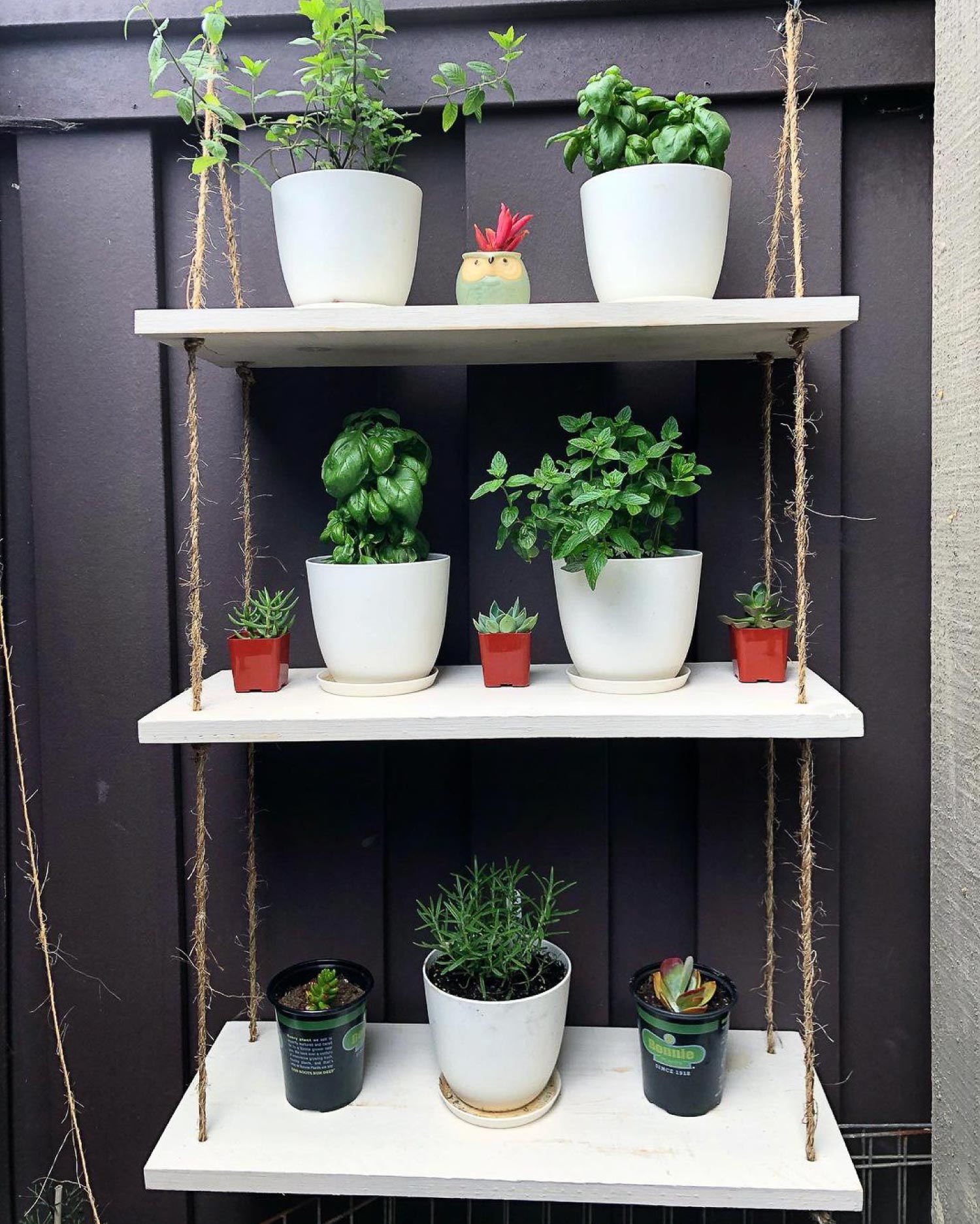 White herb shelves design