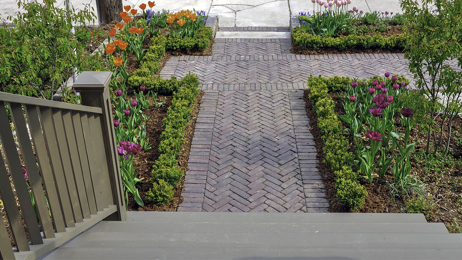 entrance to home with bordered herringbone 