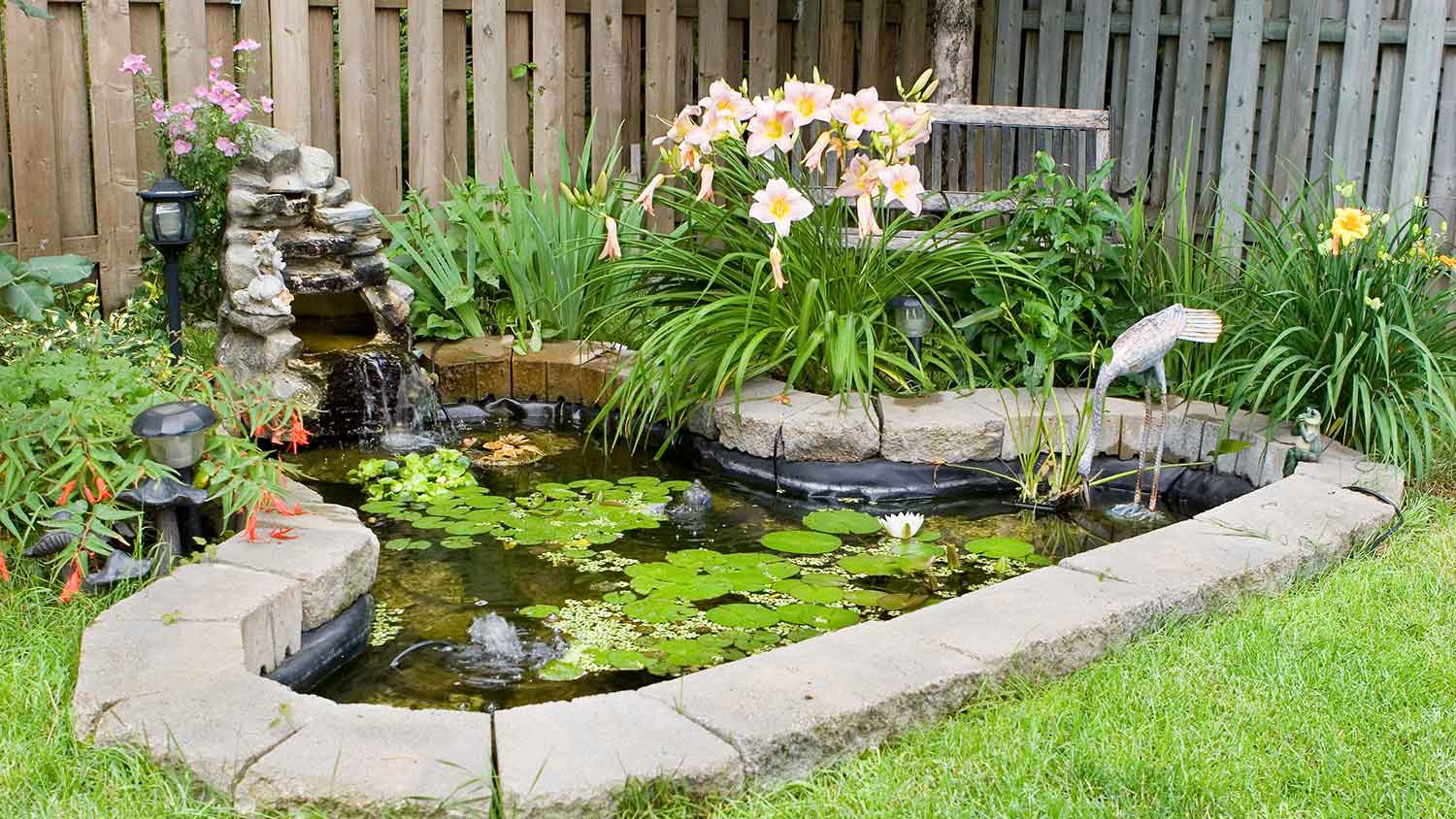 Garden pond with plants and sculptures