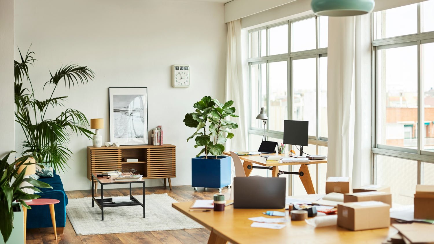 A home office with desks and houseplants